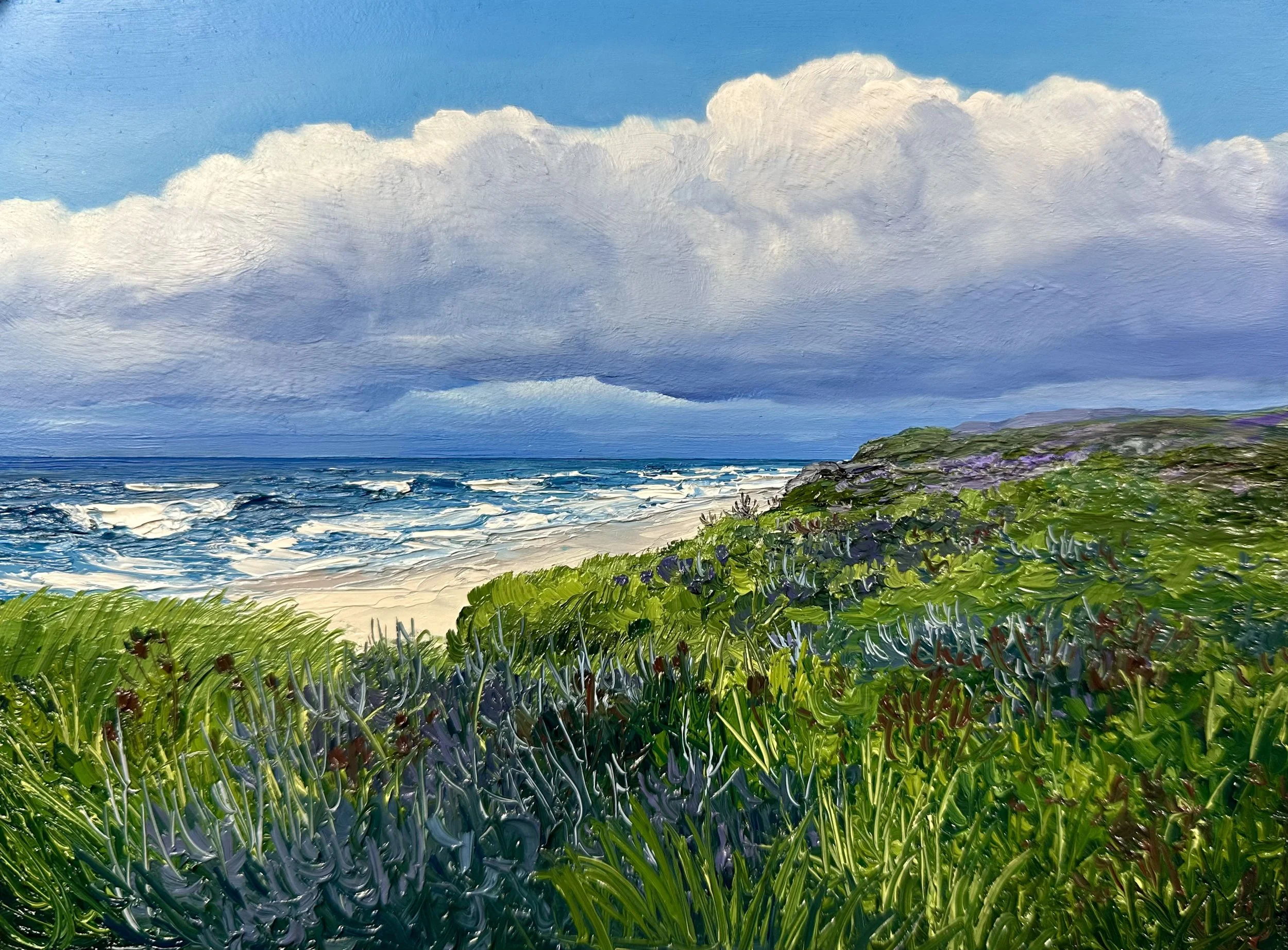 Late Summer at Coast Guard Beach- Eastham, MA