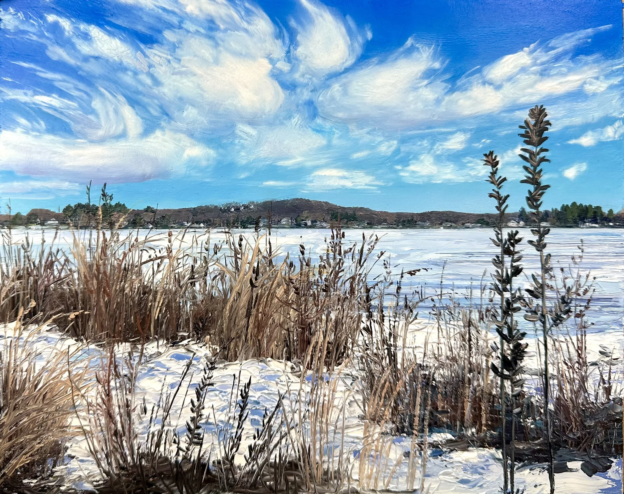 Snow on Lake Pocotopaug- East Hampton, CT