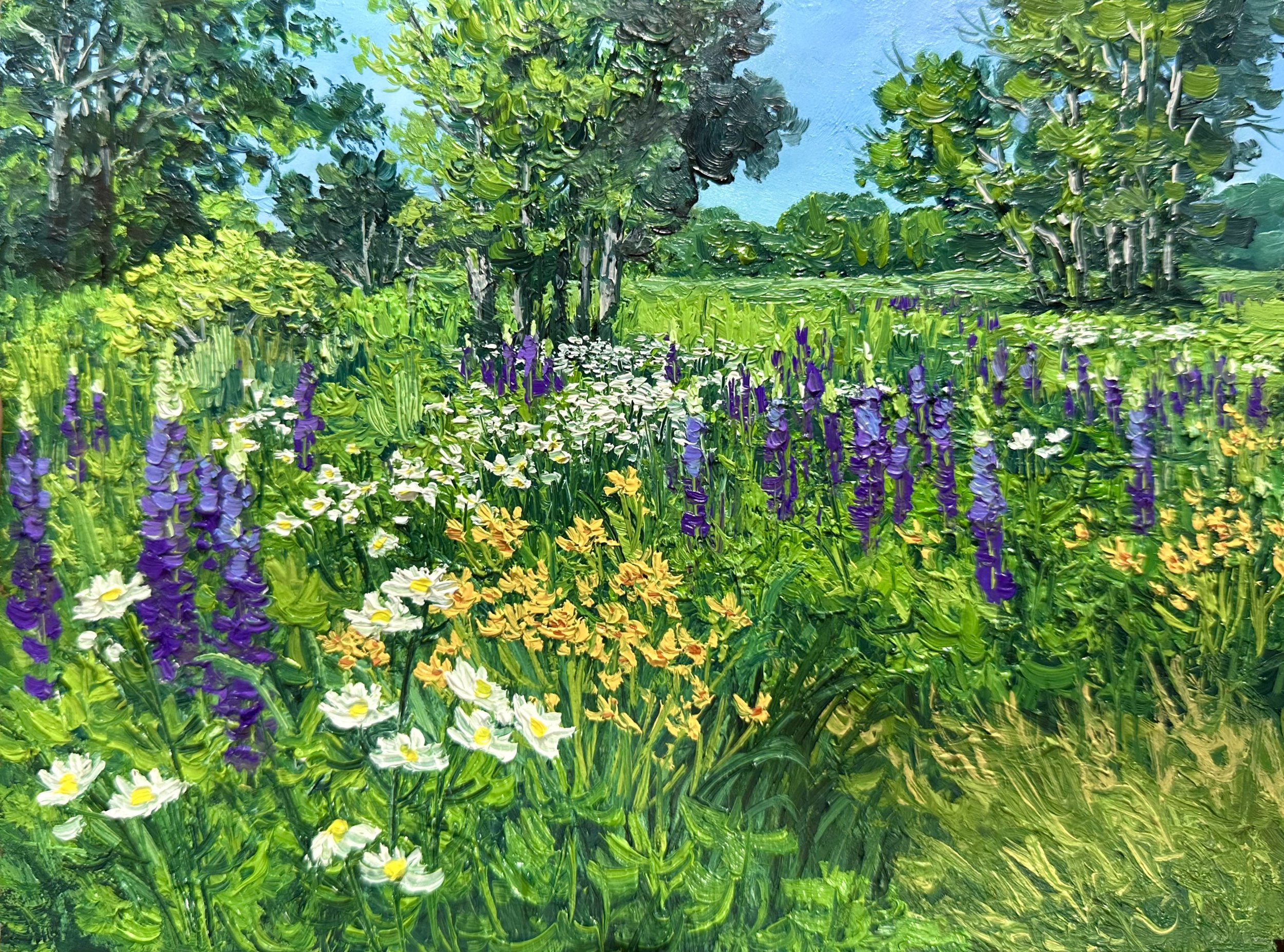 The Lupine Field- Cape Elizabeth, ME