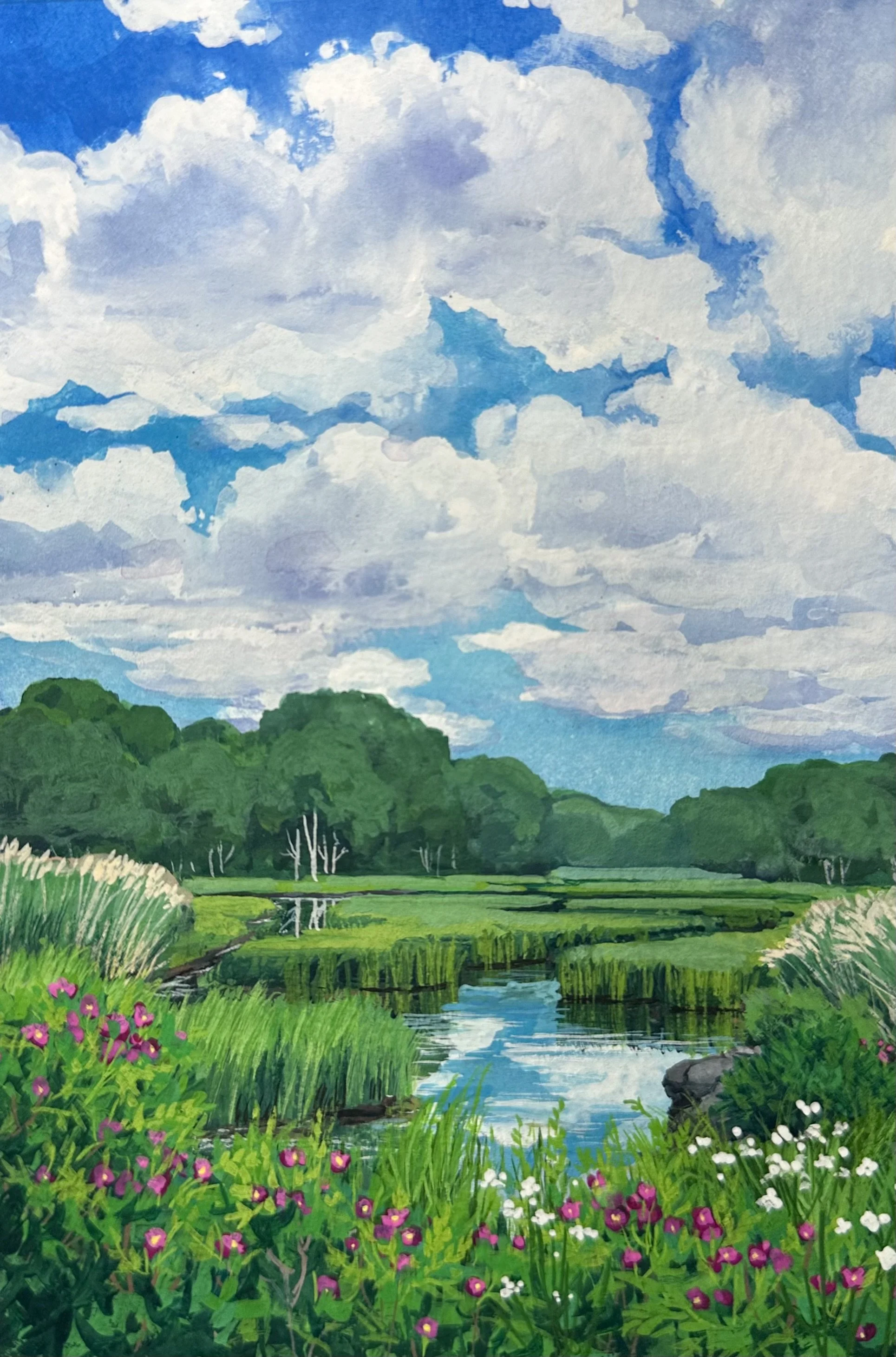 Looking South from the Tidal Marsh- Kennebunk, ME SOLD