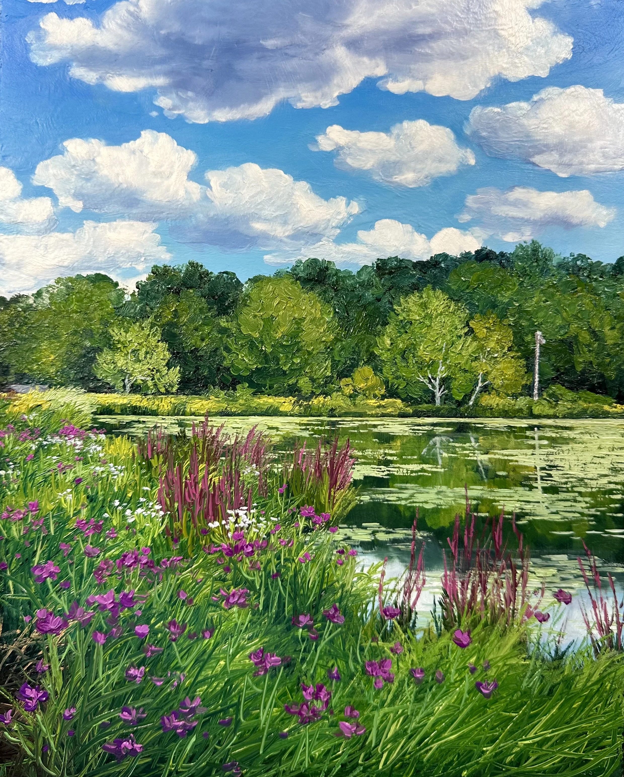 Wildflowers at the Cranberry Bog- East Hampton, CT
