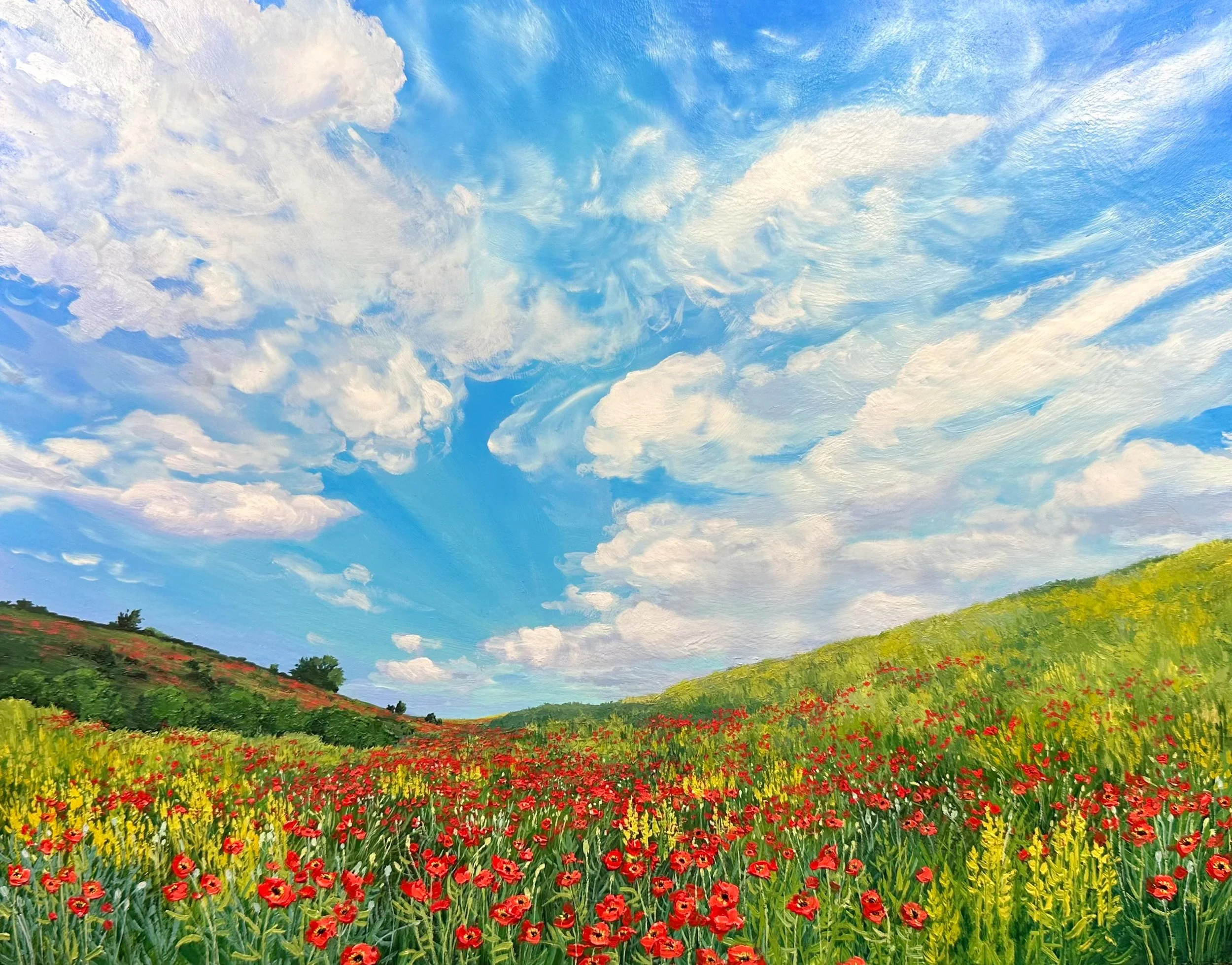 Poppies and Morning Light- Yorkshire, UK SOLD