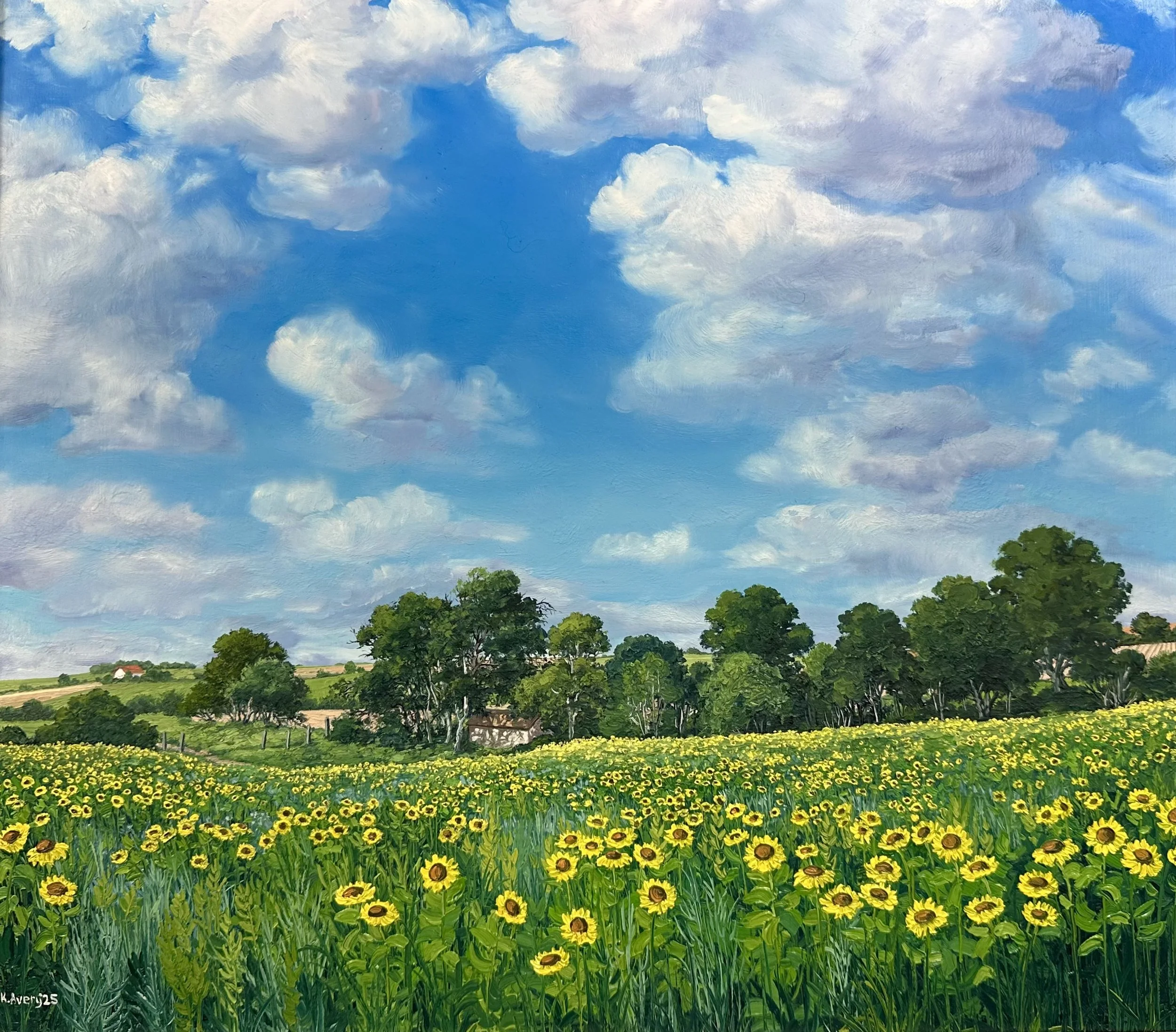 Blue Sky and Sunflowers- Yorkshire, England