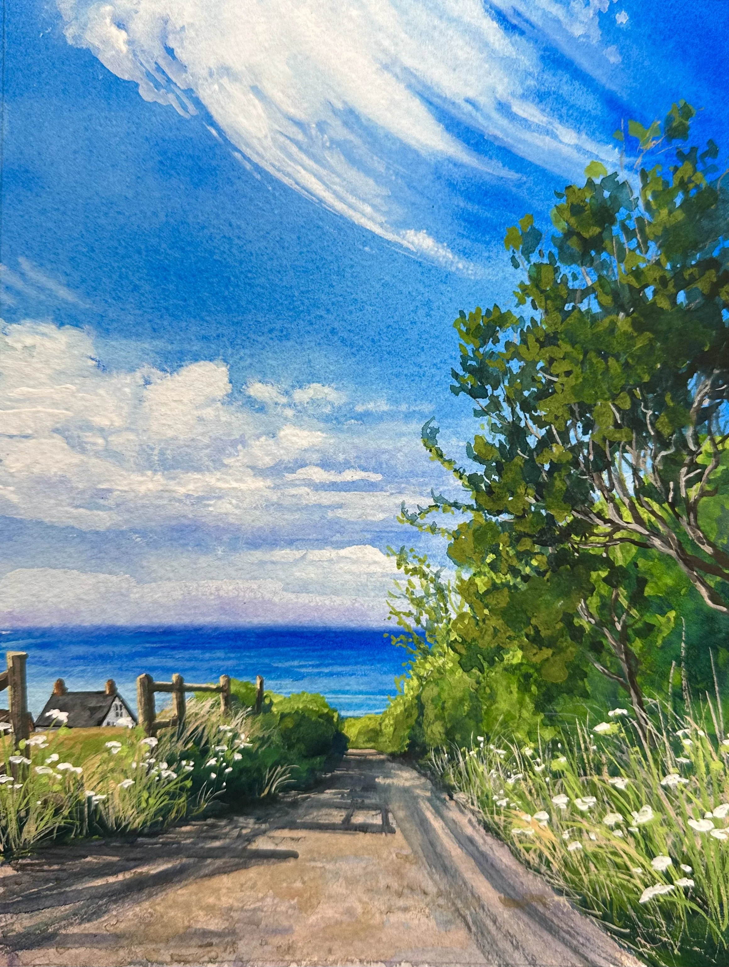 The Lane down to the Sea- near Whitby, England
