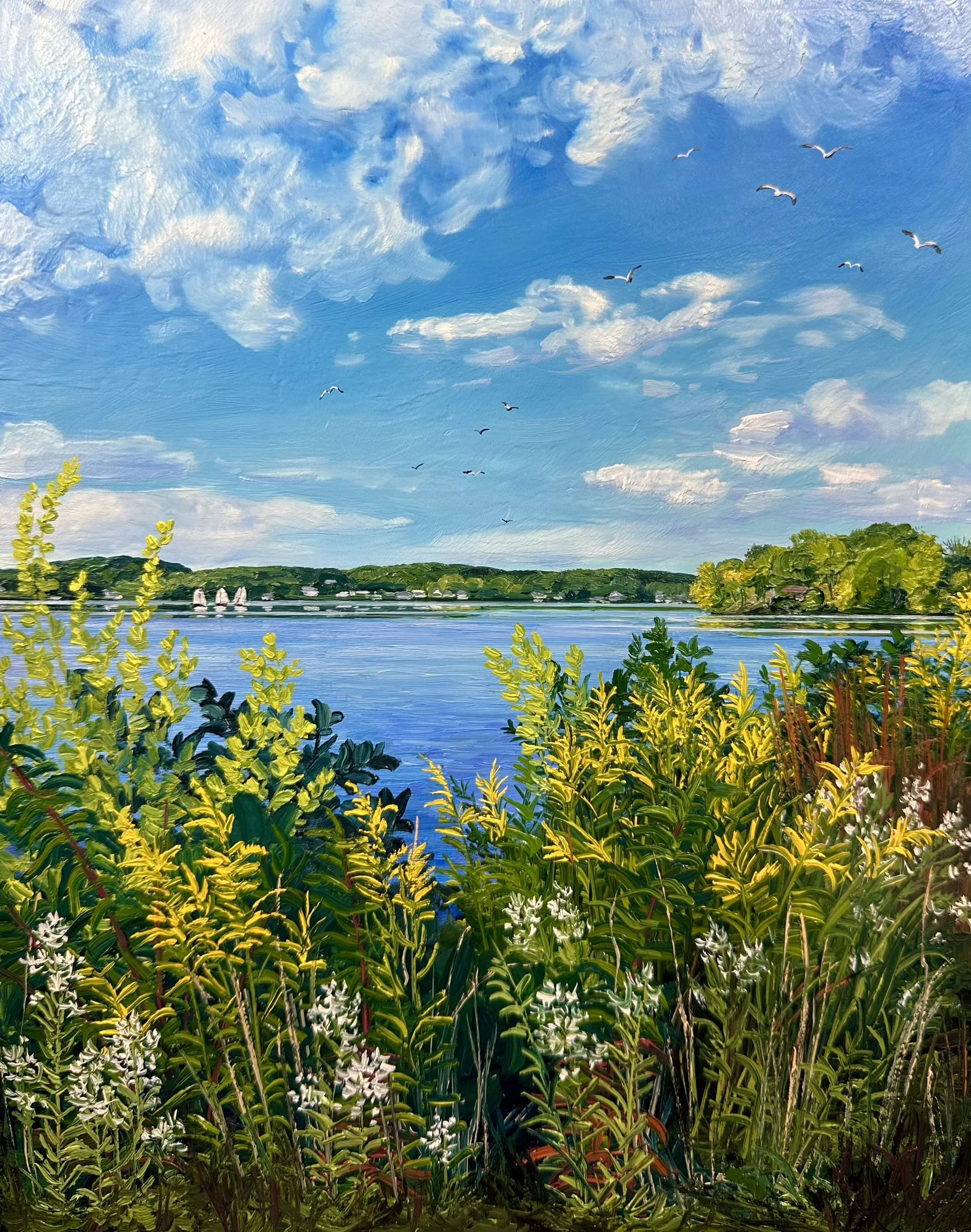 Wildflowers at Lake Pocotopaug 1- East Hampton, CT