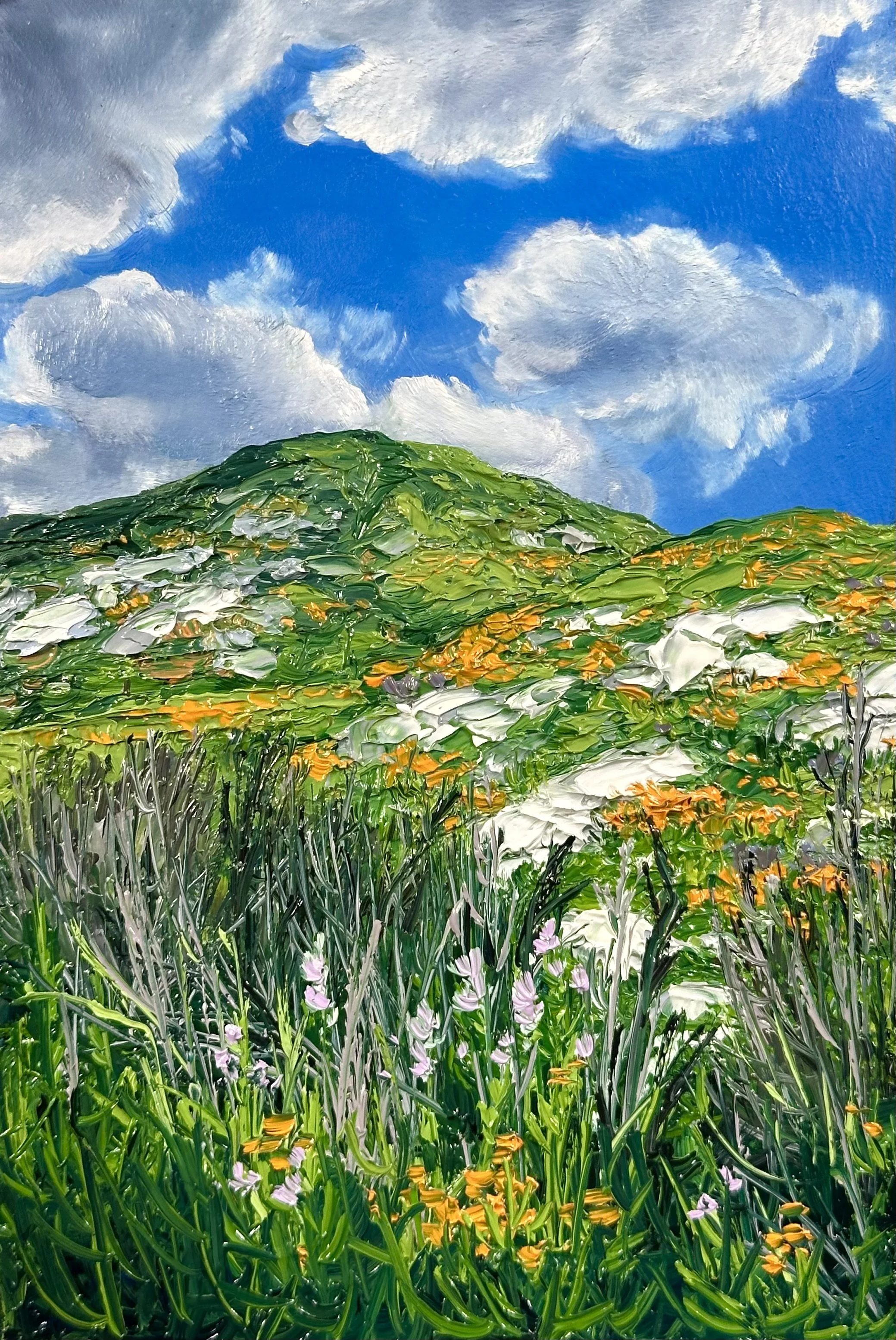 Yellow Poppies in the Mountains