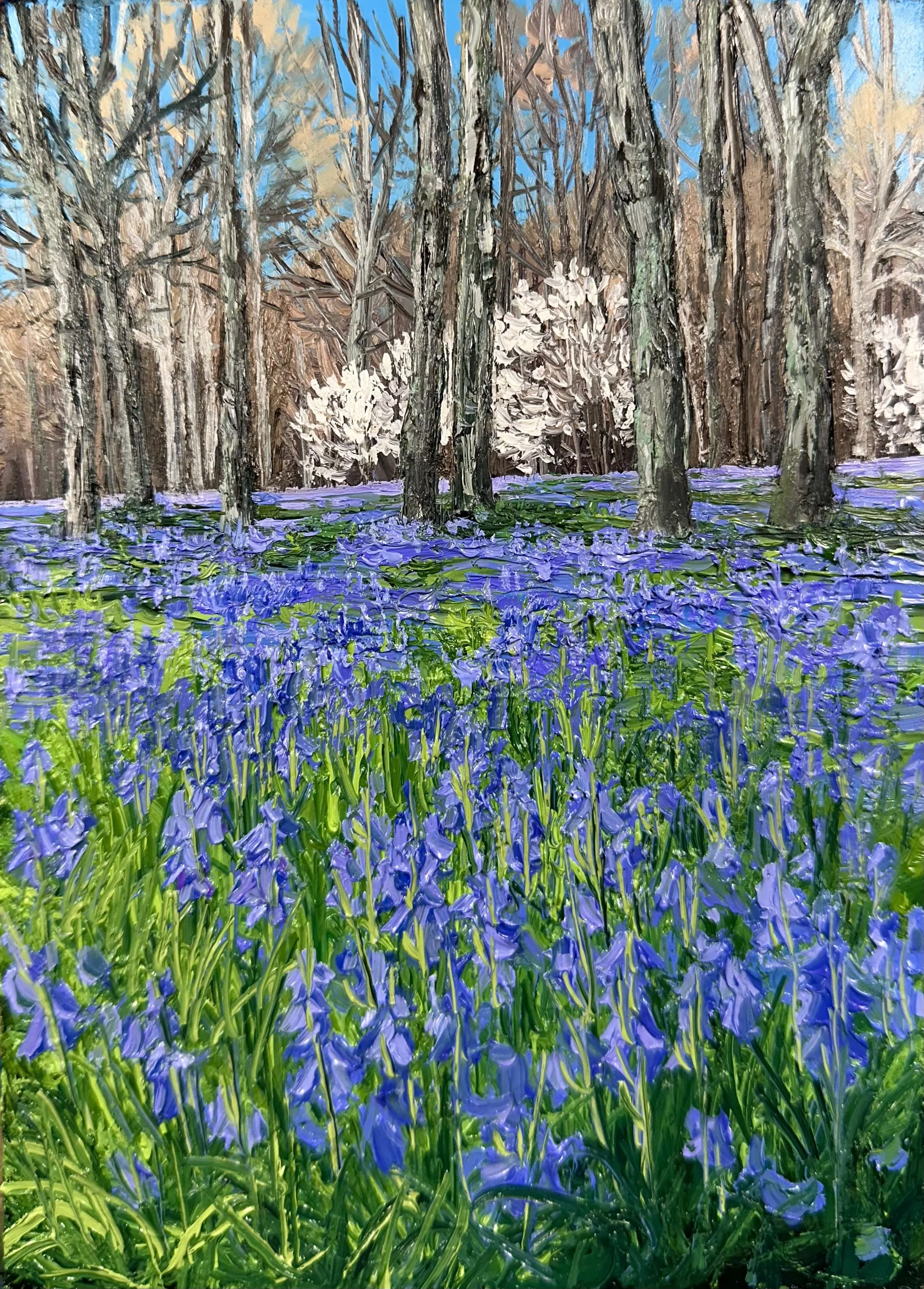 Bluebells in the Suffolk Countryside- England SOLD