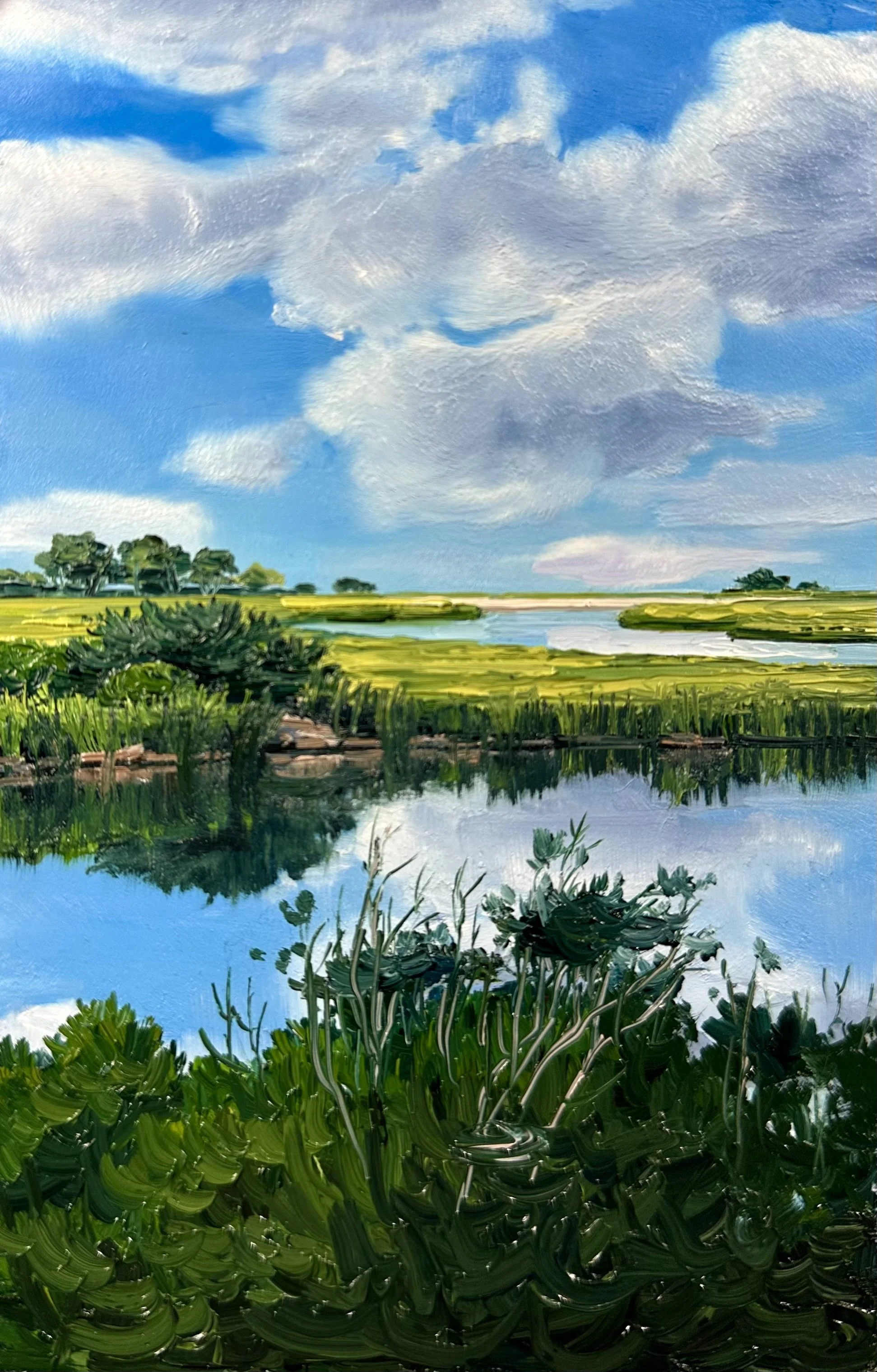 Along the Swan River- Dennis Port, MA