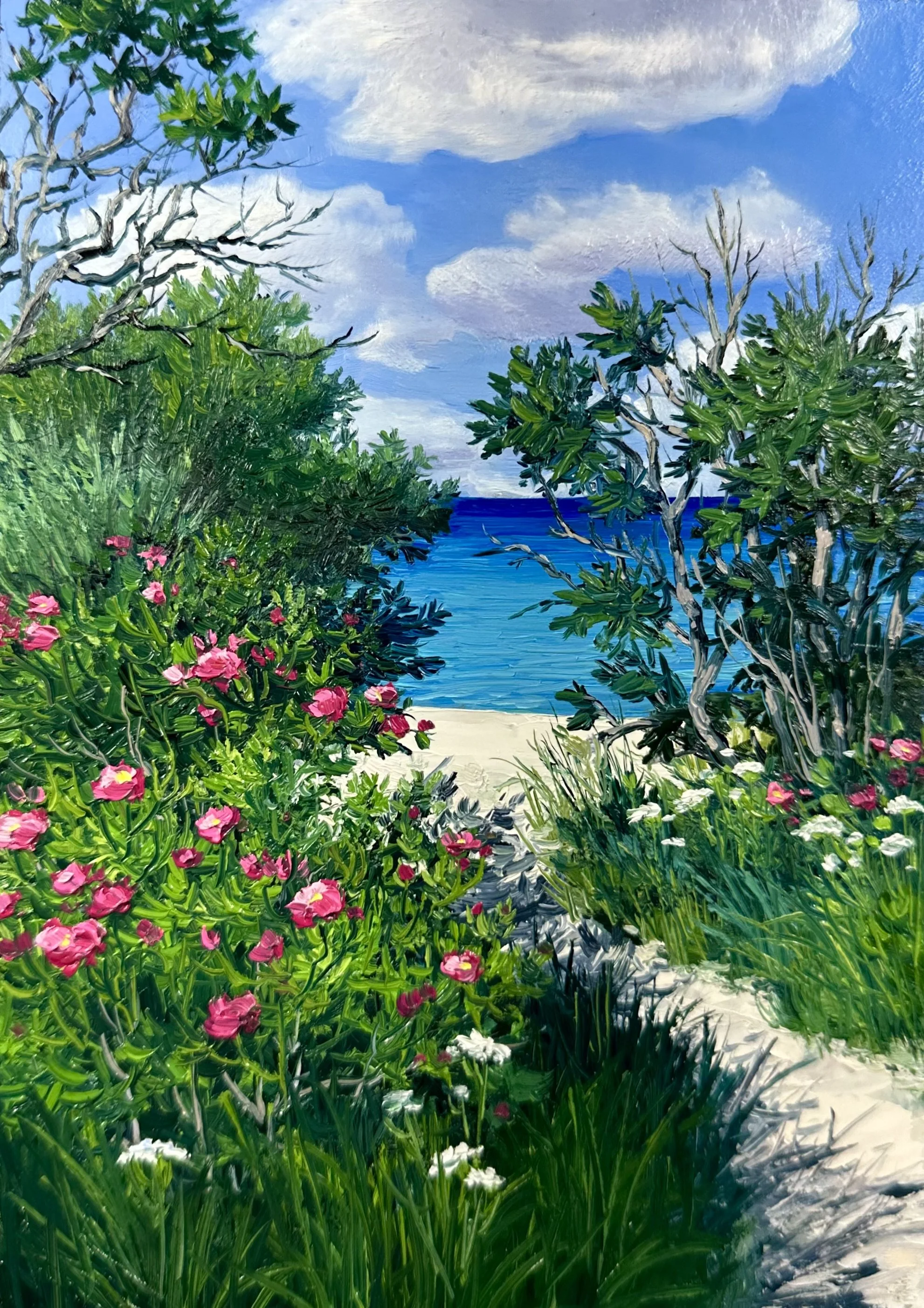 Beach Roses along the Path- Cape Elizabeth, ME