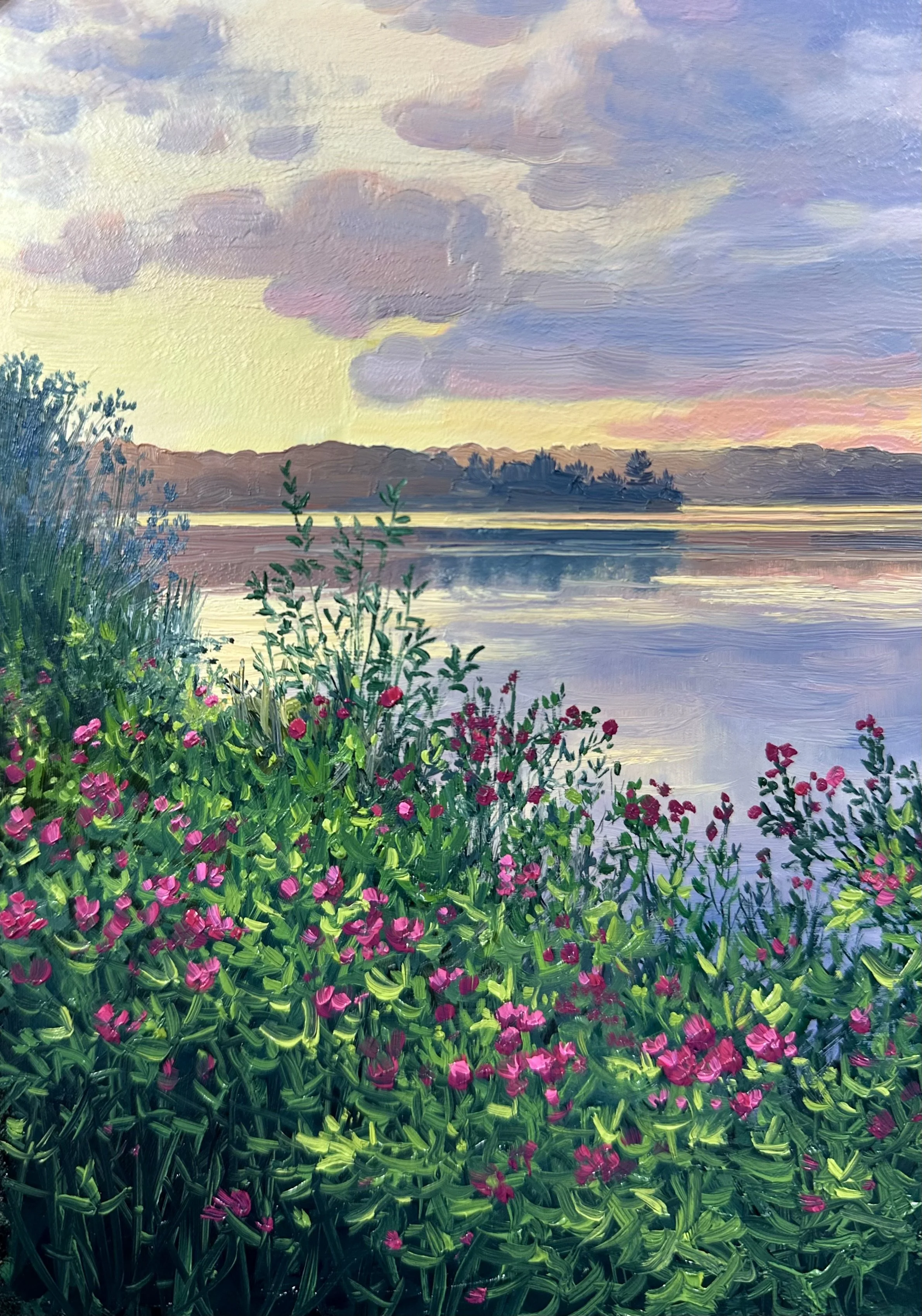 Pink Roses at Dawn-Lake Pocotopaug, East Hampton, CT SOLD