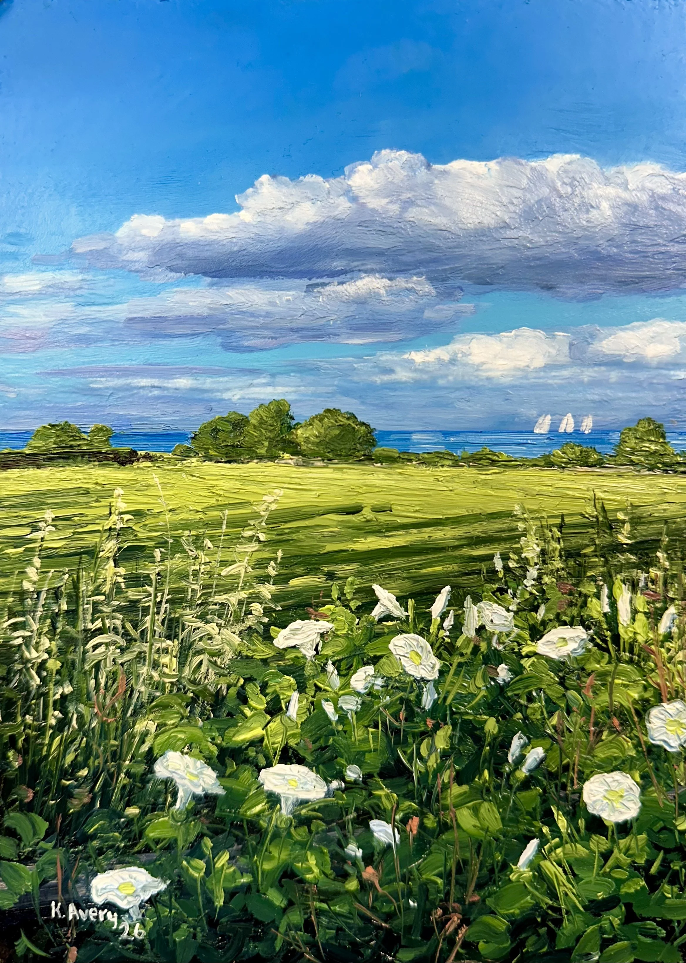 View from the churchyard- Lythe, England