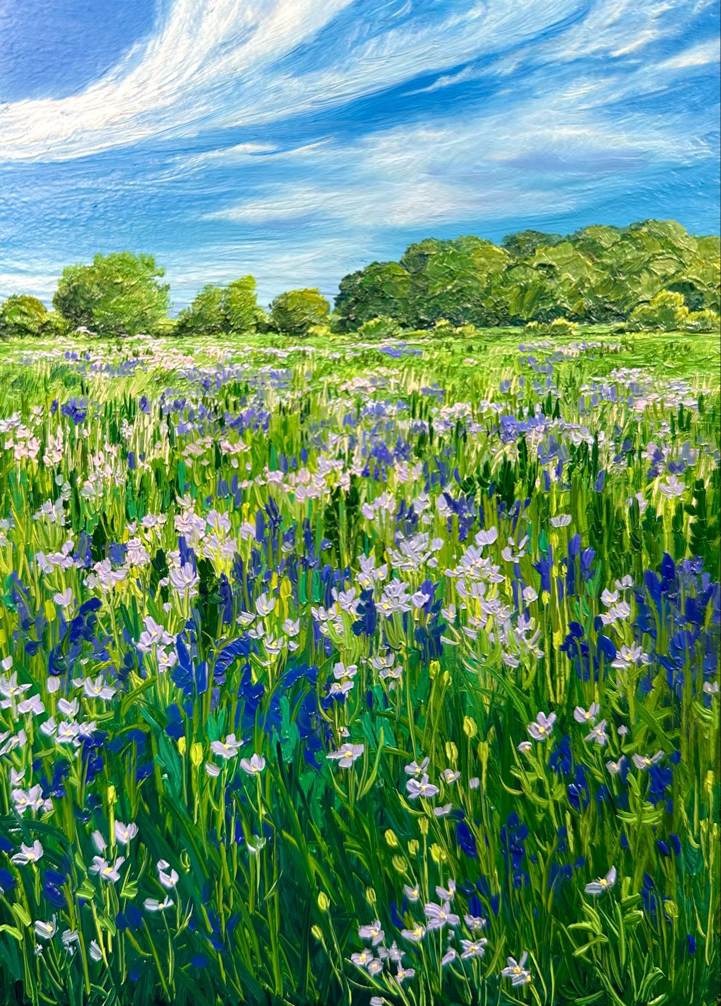Bluebells and Lady's Apron- England