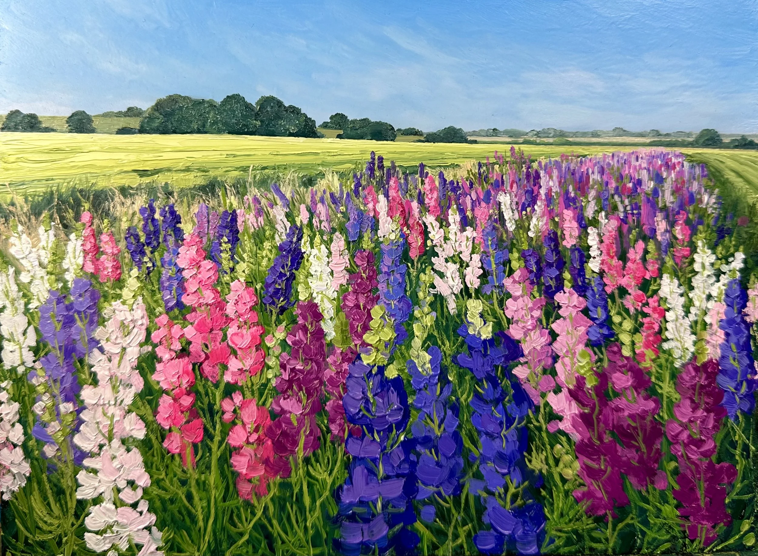 Field of Larkspur- Shropshire, England SOLD