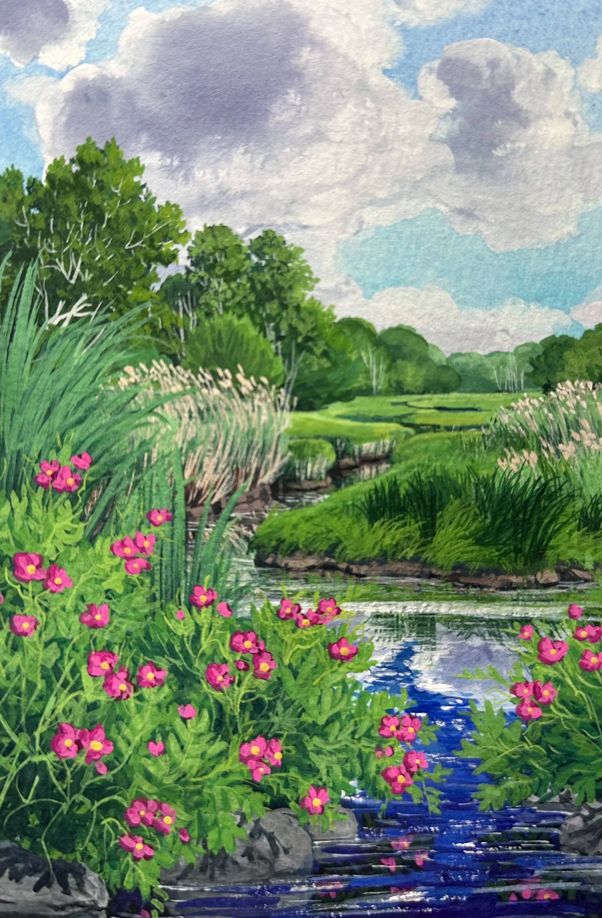 Looking North from the Tidal Marsh- Kennebunk, ME