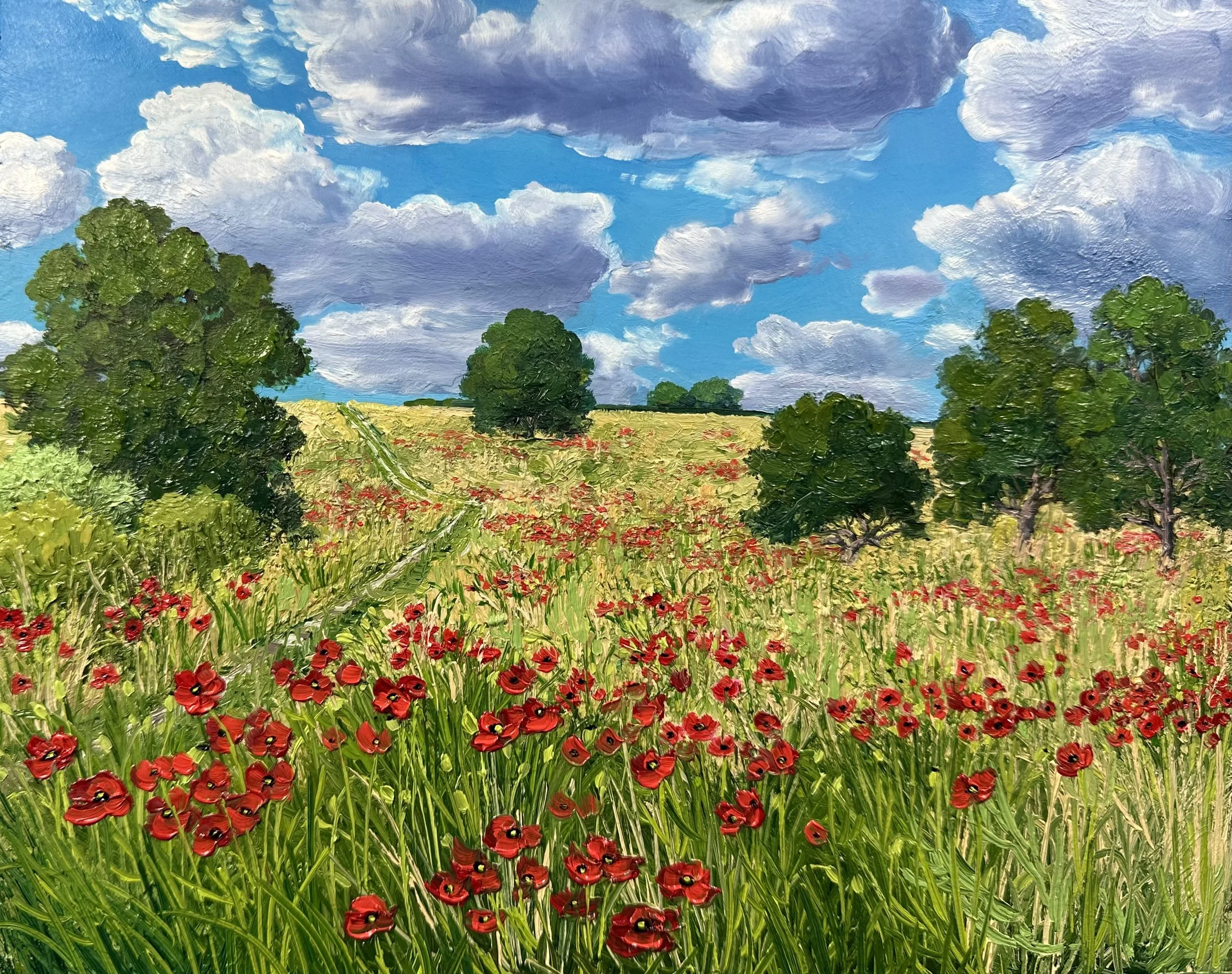 A Field of Poppies- Yorkshire Wolds, England