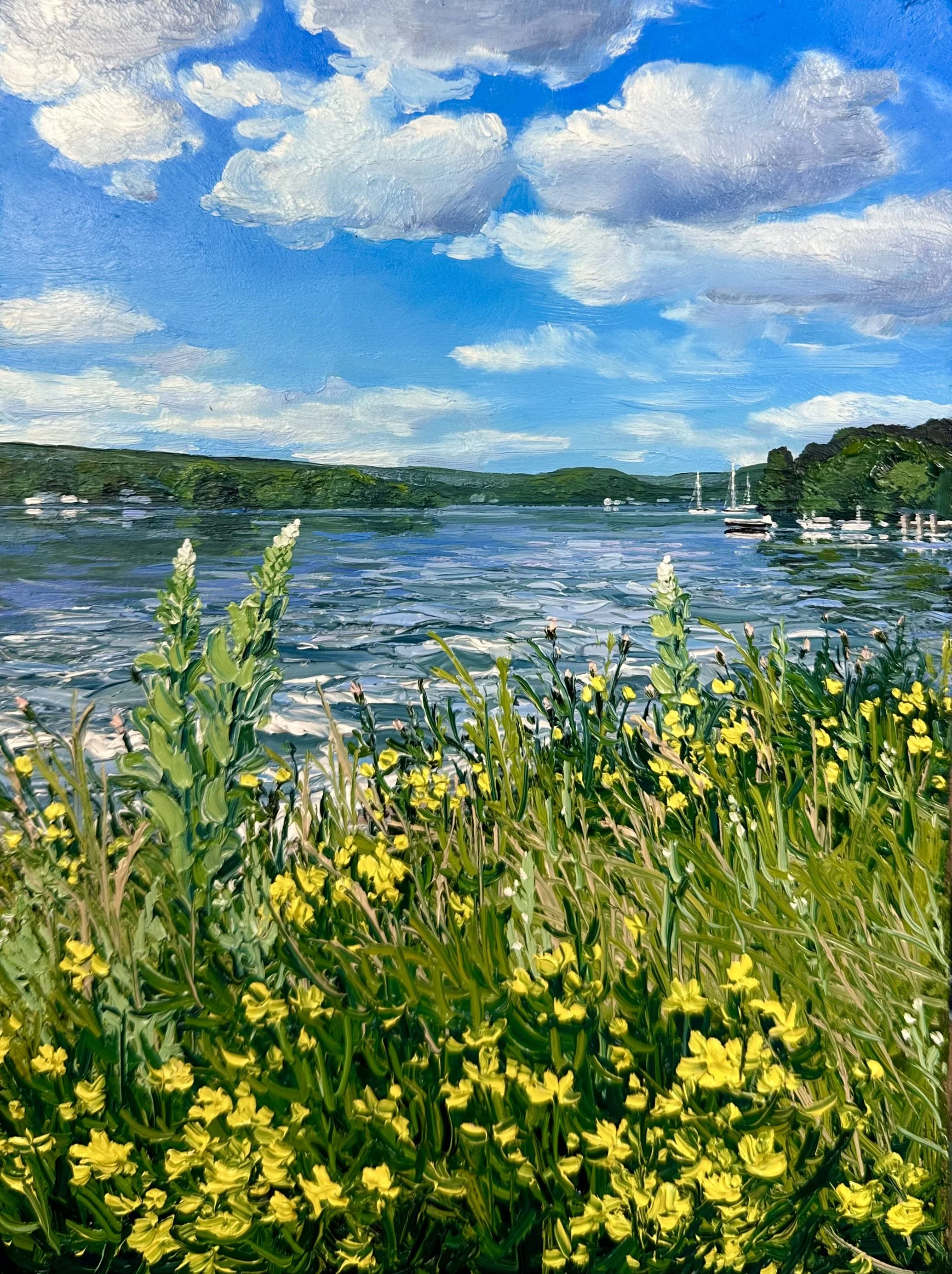 July on Lake Pocotopaug, looking North- East Hampton, CT