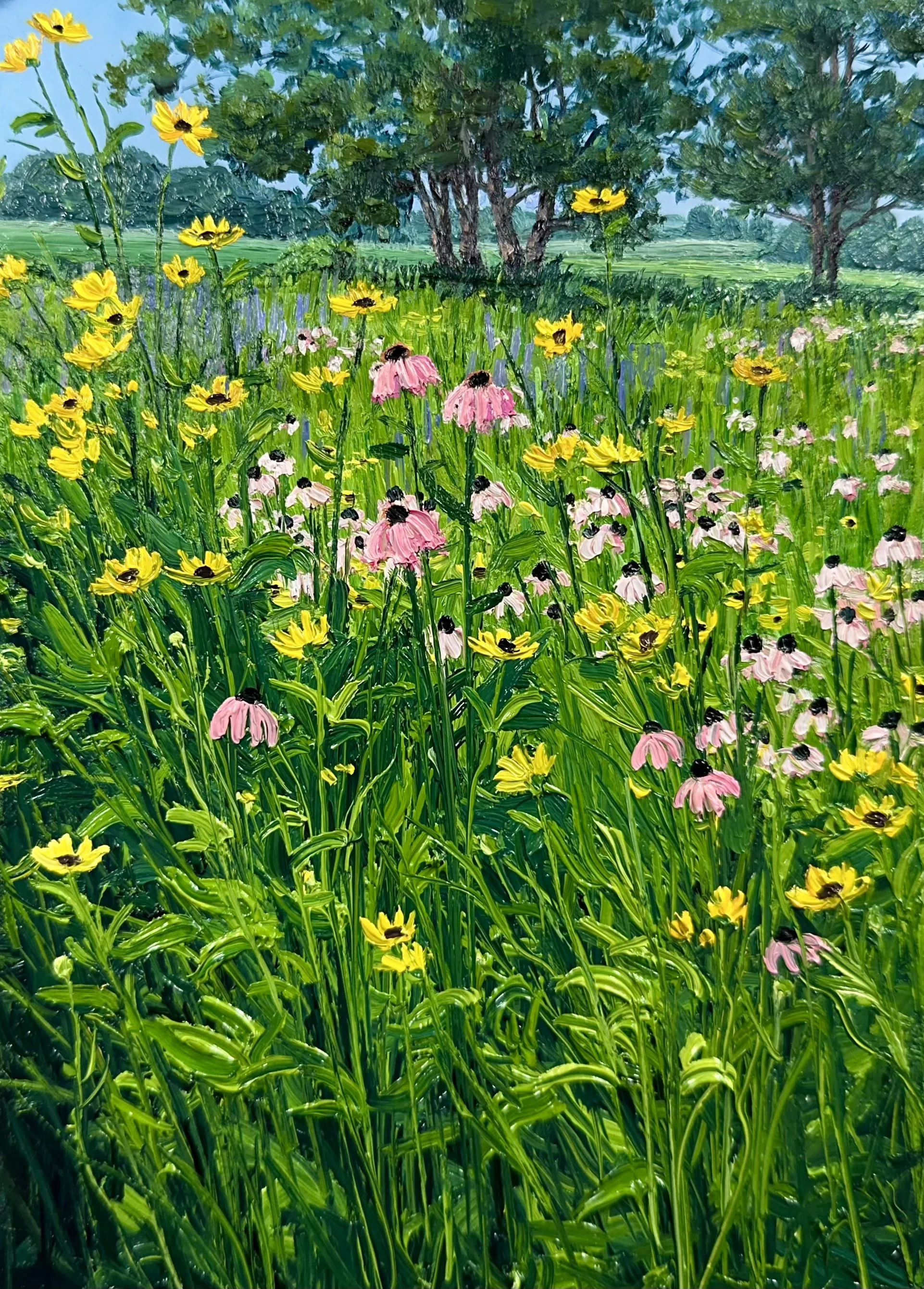 Coneflower and black-eyed susan on the Wisconsin Prairie