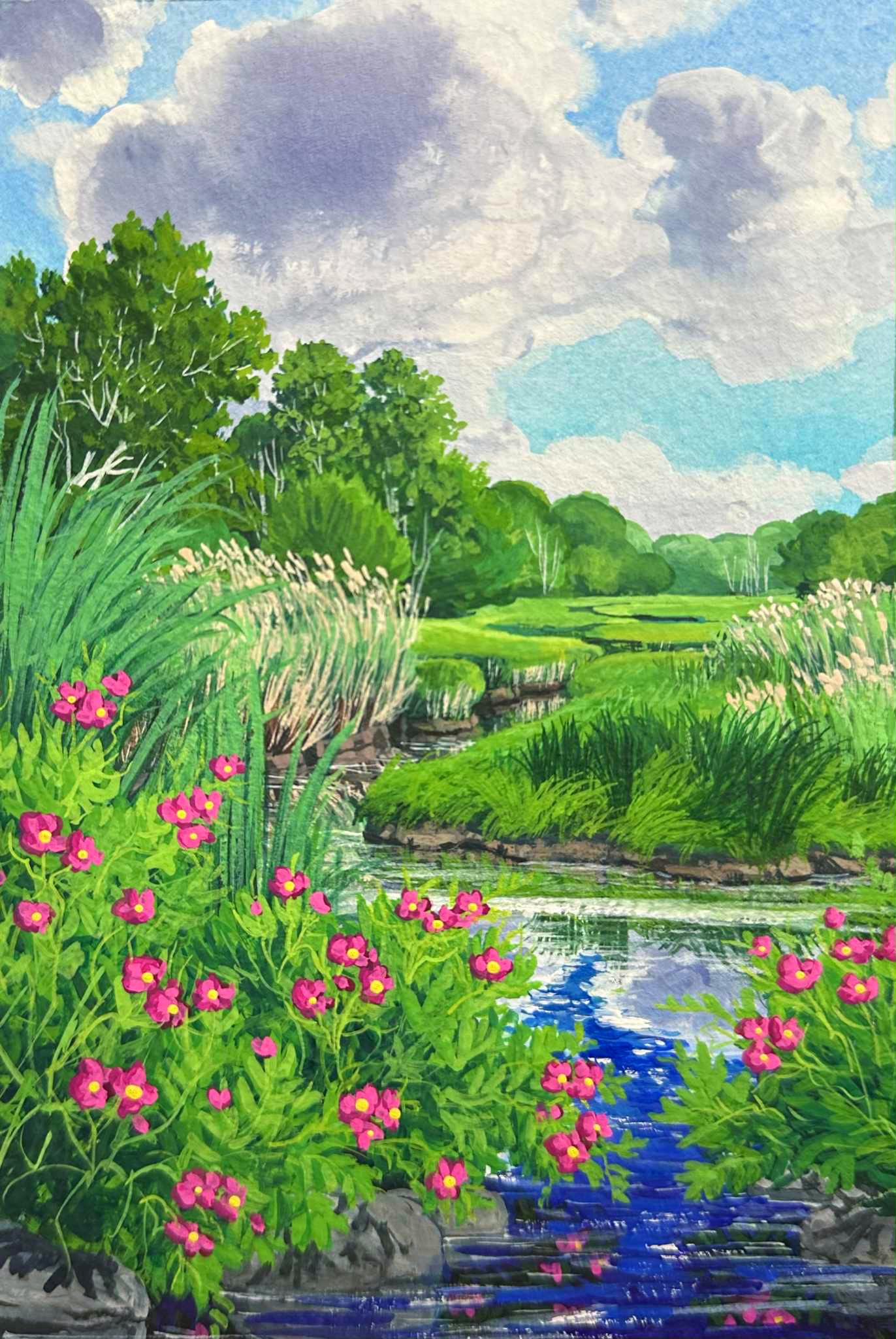 Looking North from the Tidal Marsh- Kennebunk, ME