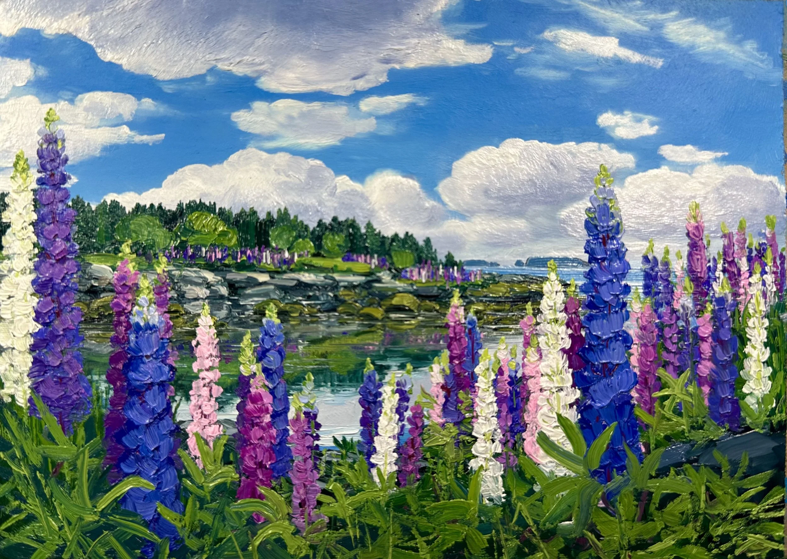 Lupine Field by Penobscot Bay- Stonington, ME SOLD