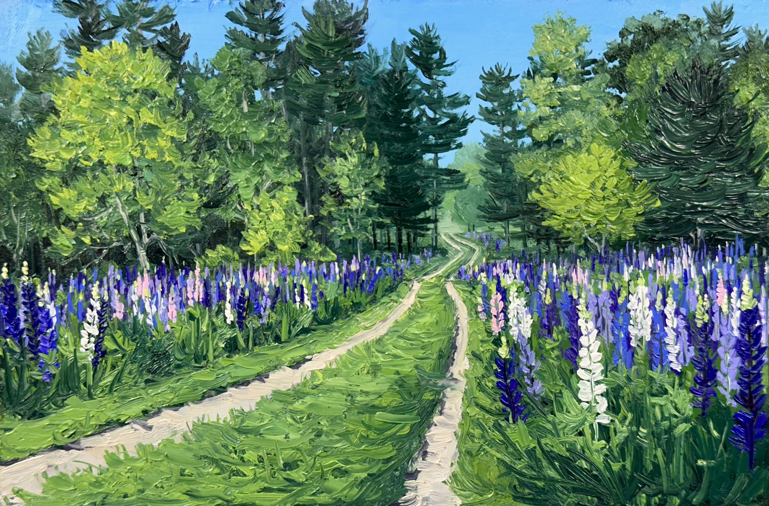 Path through the Lupine- Kennebunkport, ME SOLD