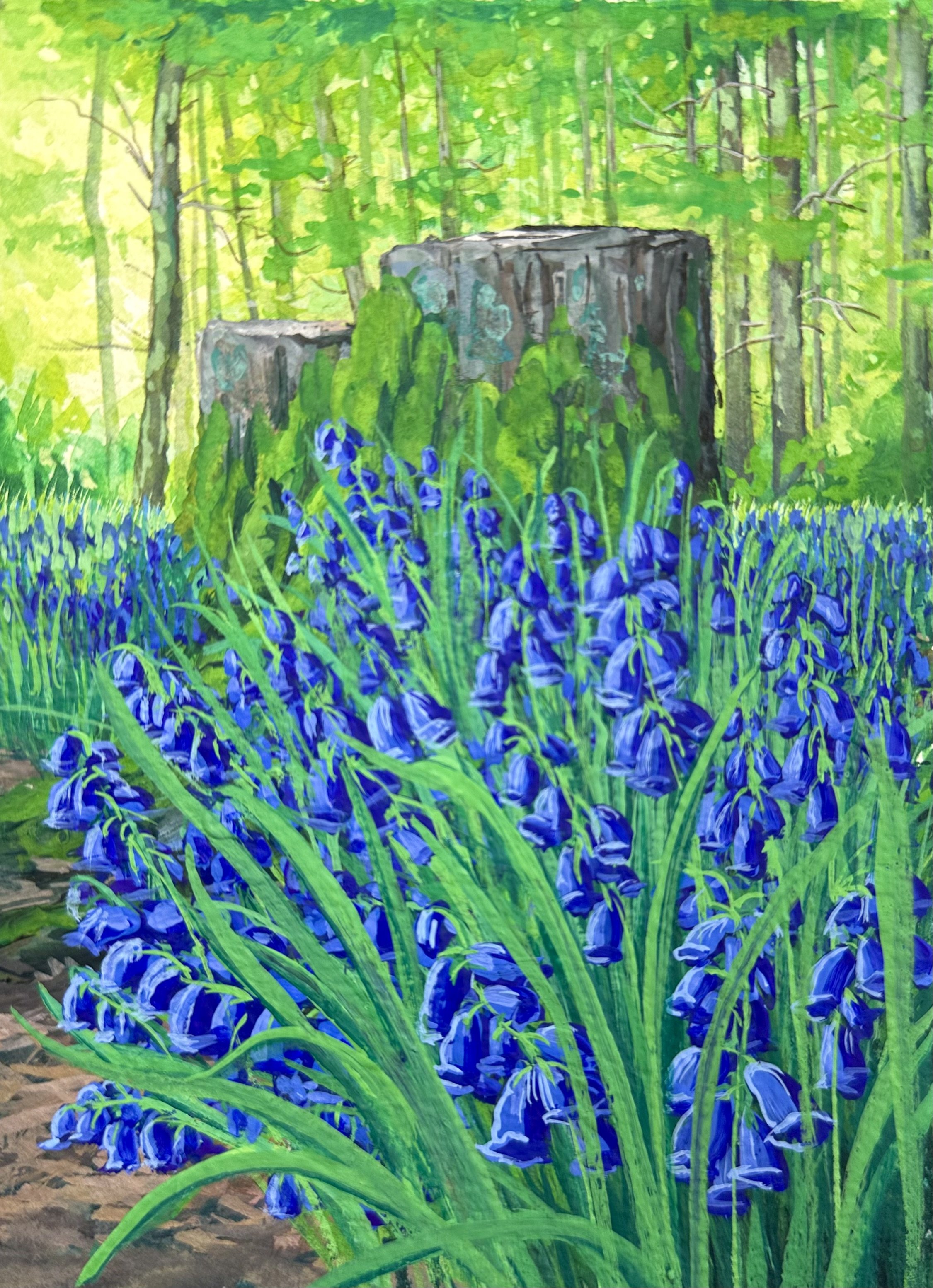 Bluebells in the forest- Yorkshire, England SOLD