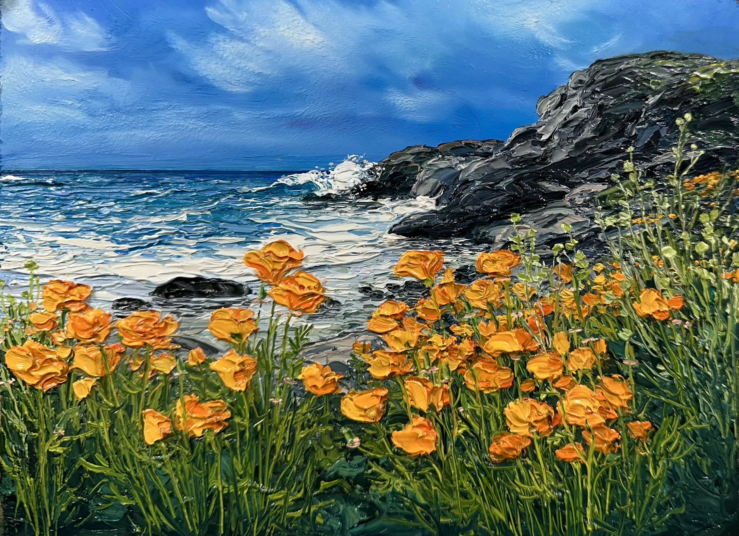 Wild Poppies along the Coast- near Big Sur, CA SOLD