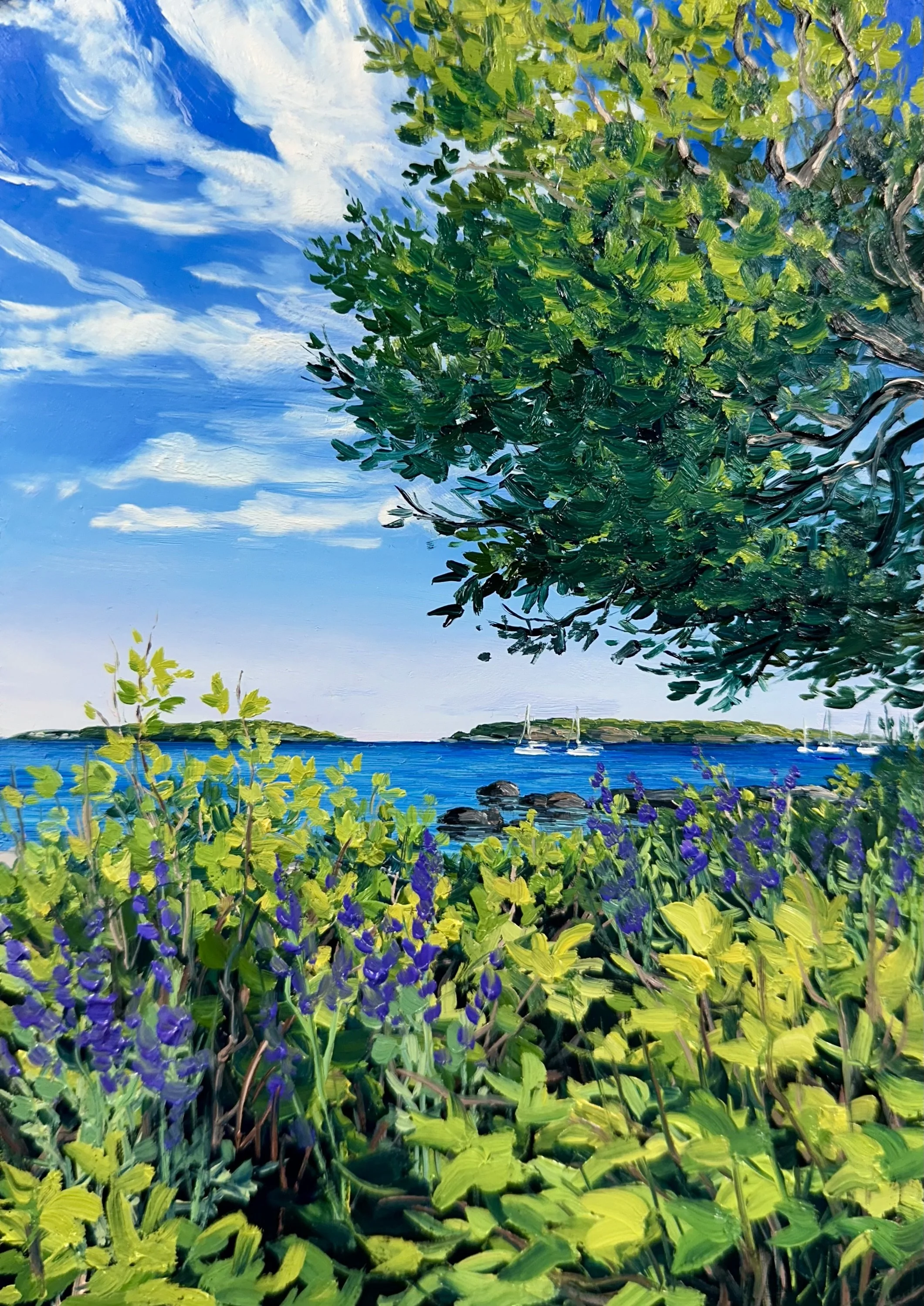 Distant Sailboats- South Portland, ME