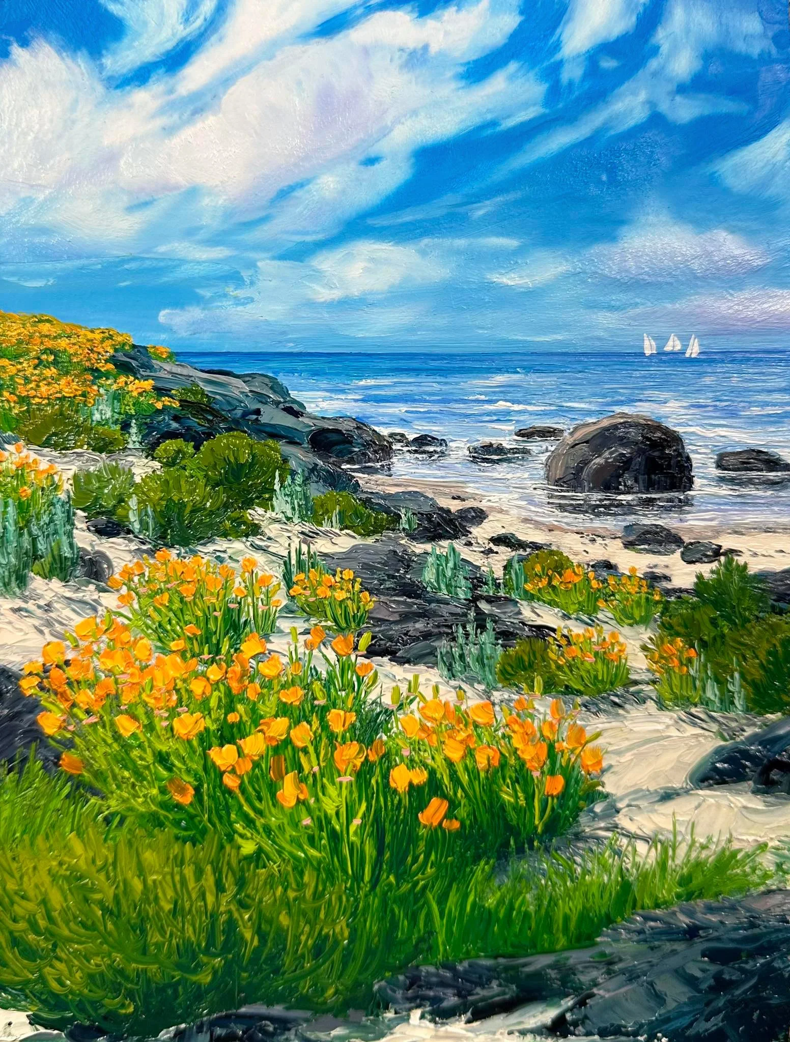 Poppies Along California's Pacific Coast Highway 1