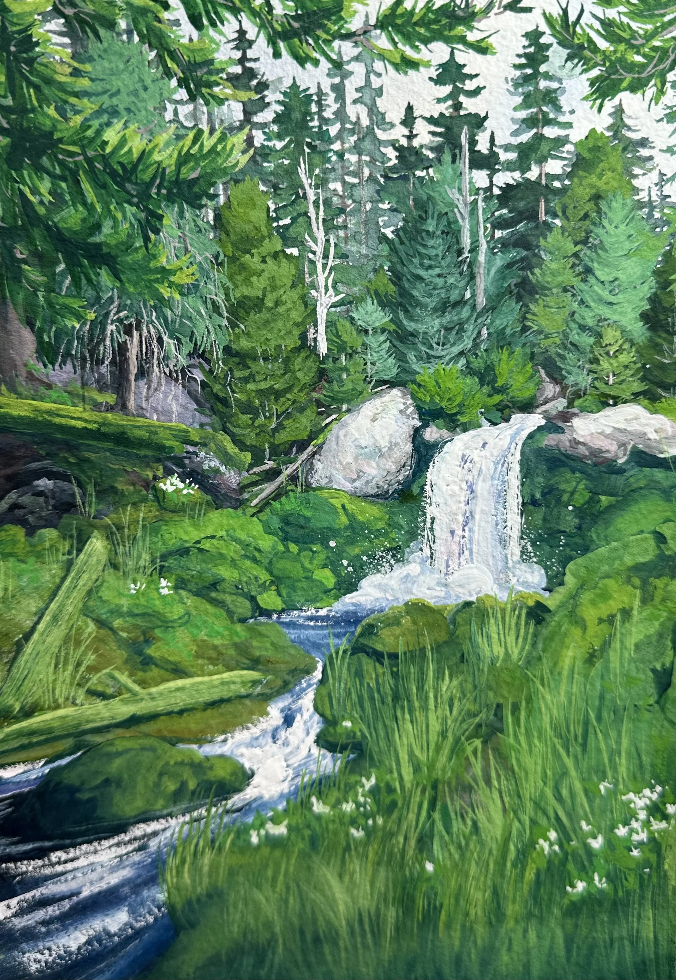 Sahalie Falls- Camp Sherman, OR