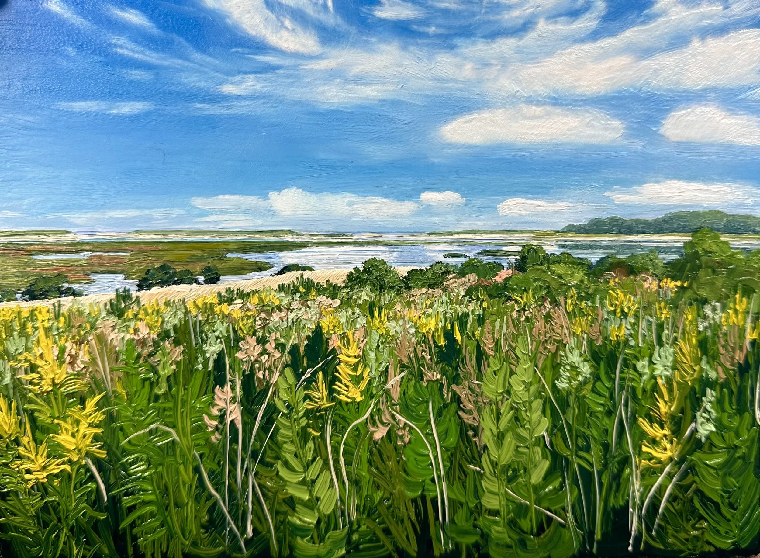 Late Summer on Fort Hill- Eastham, MA