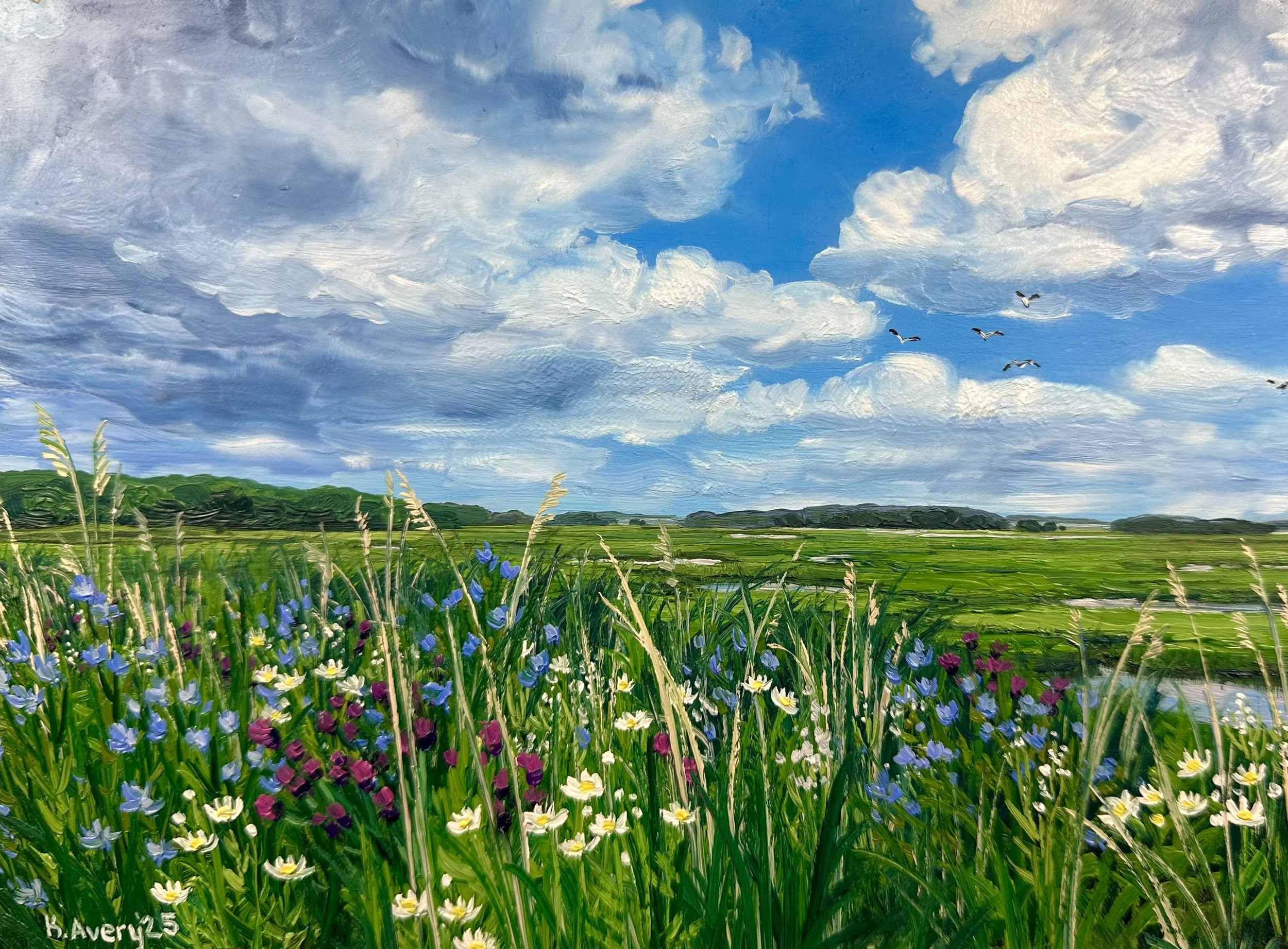 June at the Scarborough Marsh- Scarborough, ME