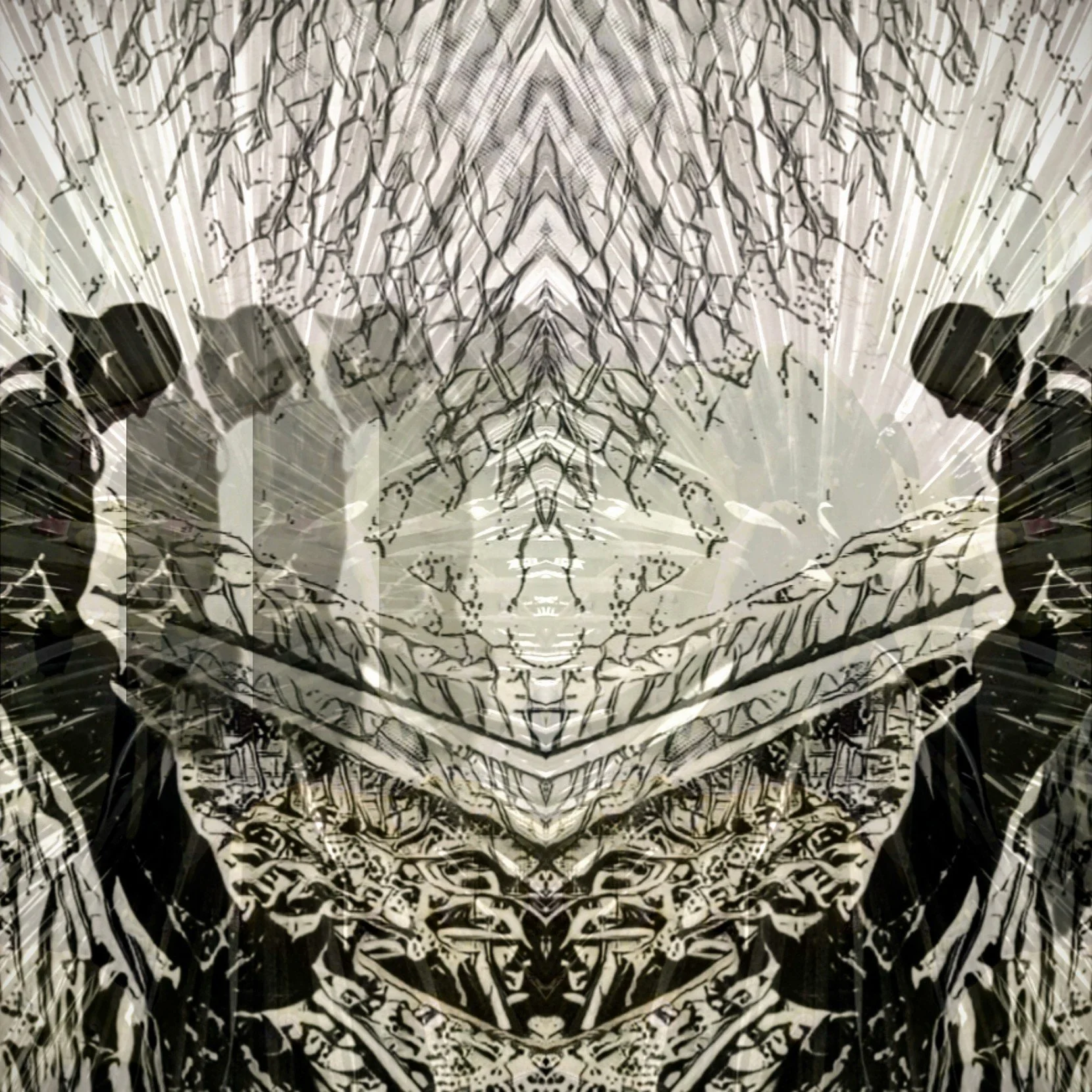 Image of Illuminating the Invisible Exhibit