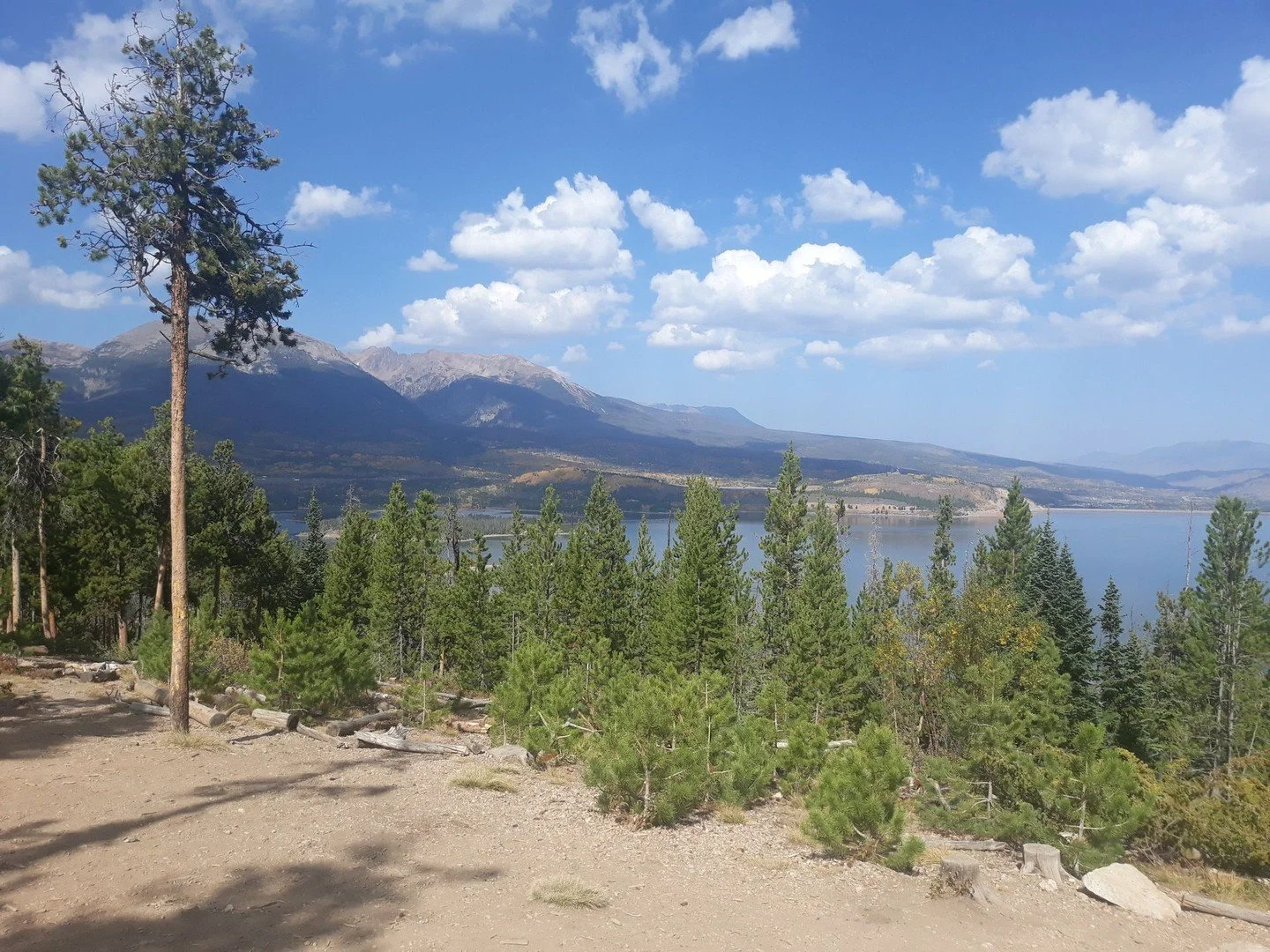 What other amazing resources am I missing that just about all my patients could benefit from? http://www.homesteadcodpc.com/blog/xk8tjr16sjq33mlzgxmzd1hrejh0bw