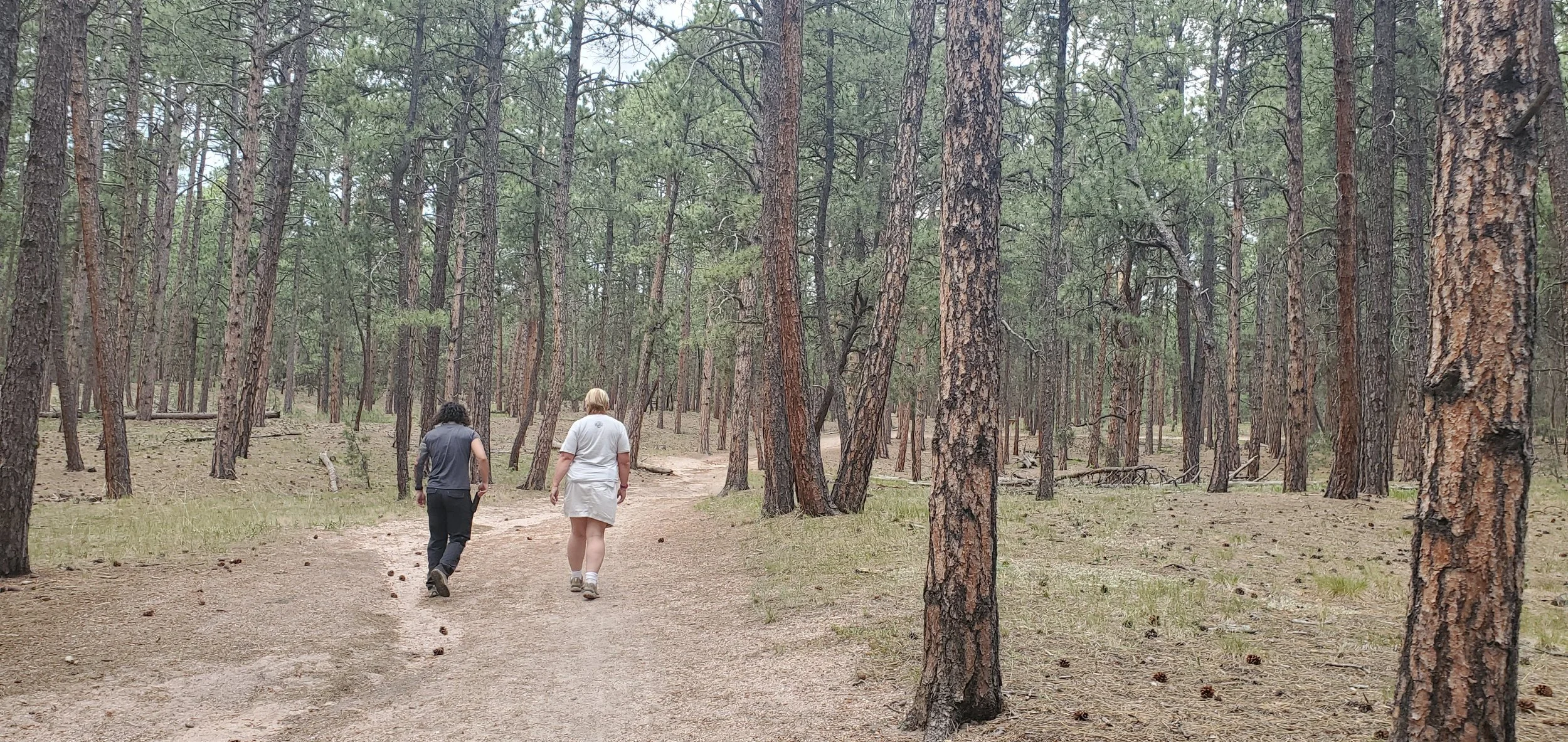 The Health Benefits of Walking: Body, Mind, and Spirit