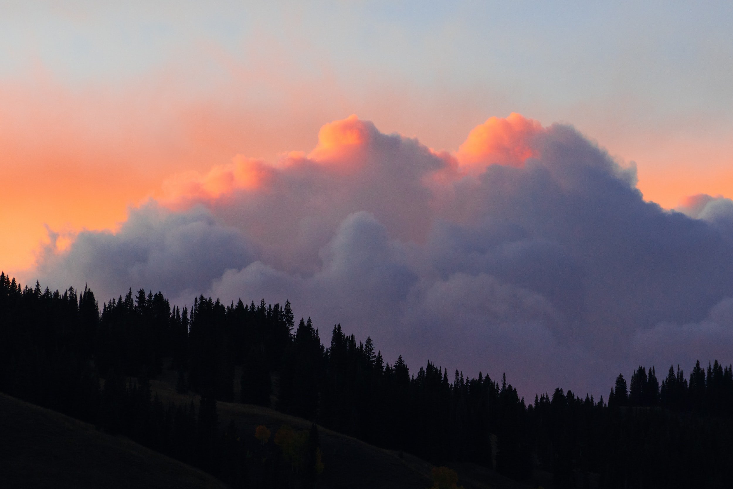 unsplash-image-TaHWuzdpcg0.jpg