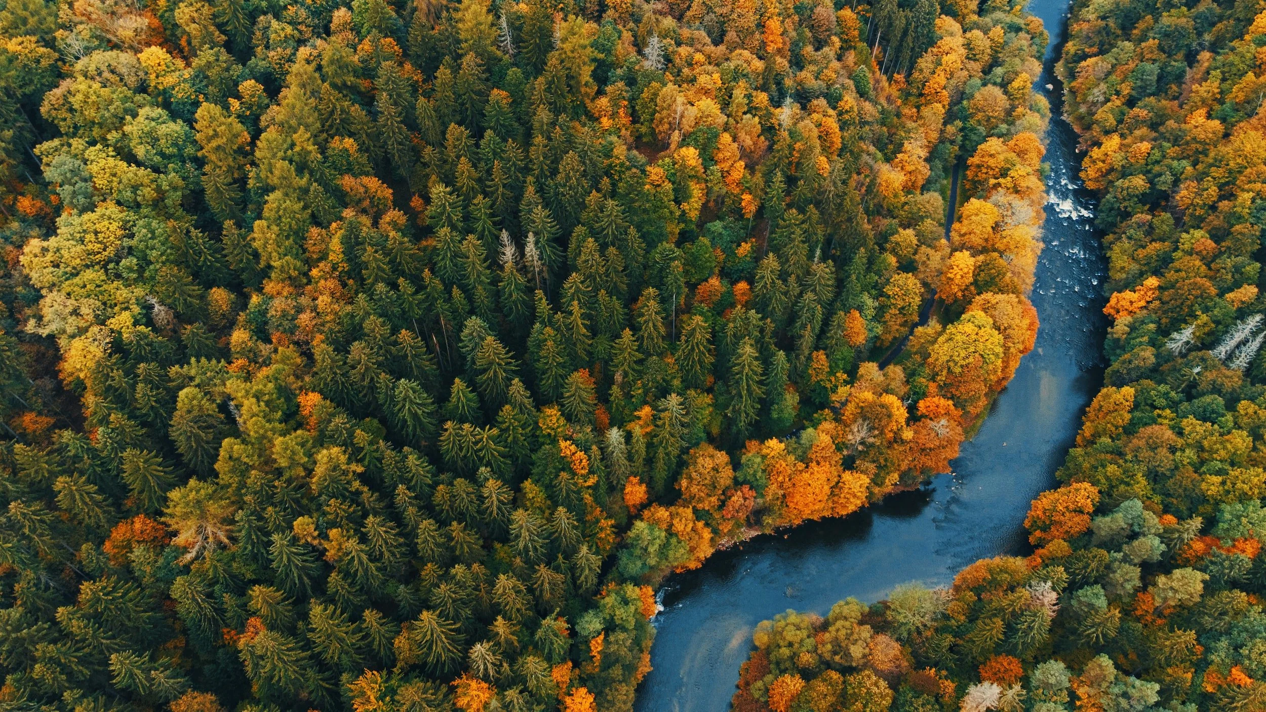 unsplash-image-F601XJbR258.jpg