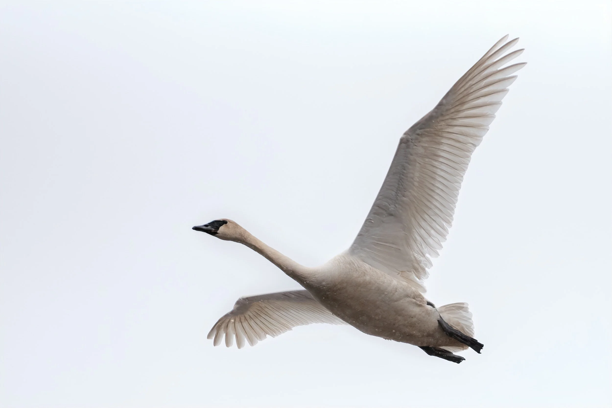 Field Trip: Steuben County Lakes