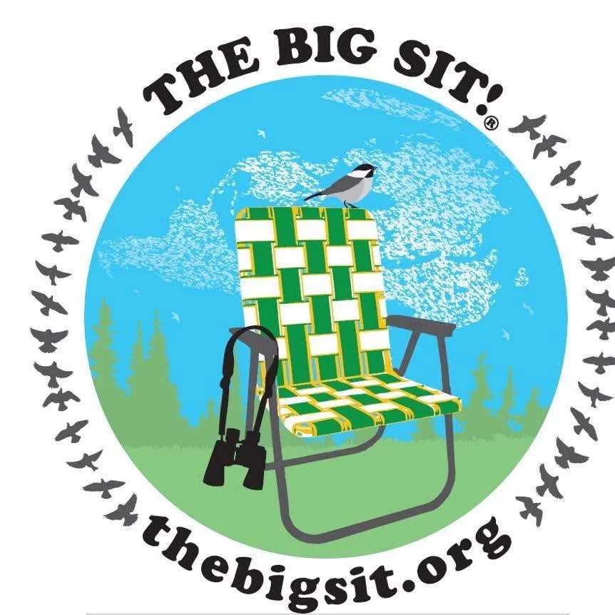 The Big Sit!