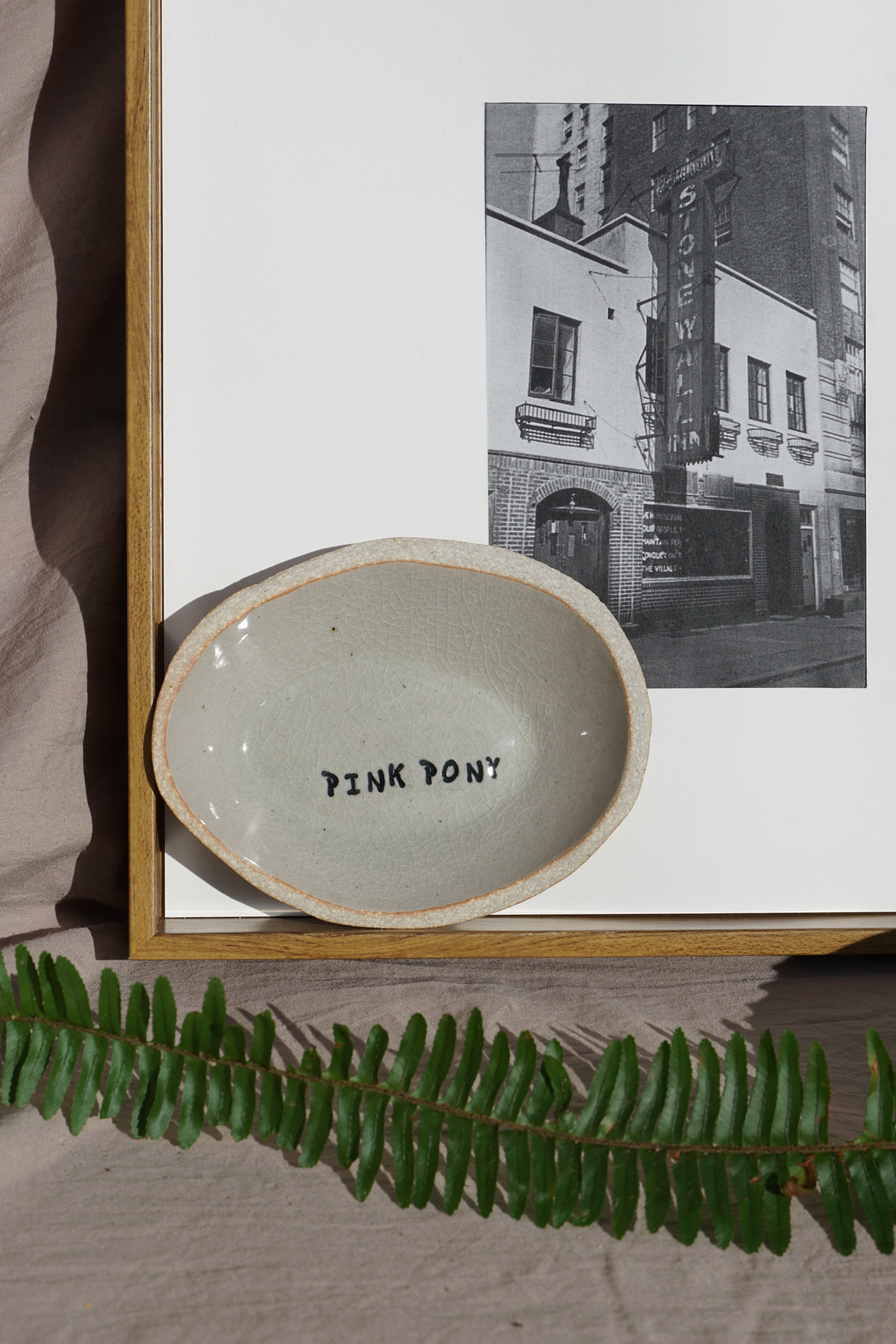 Gay Pride Dish - Pink Pony