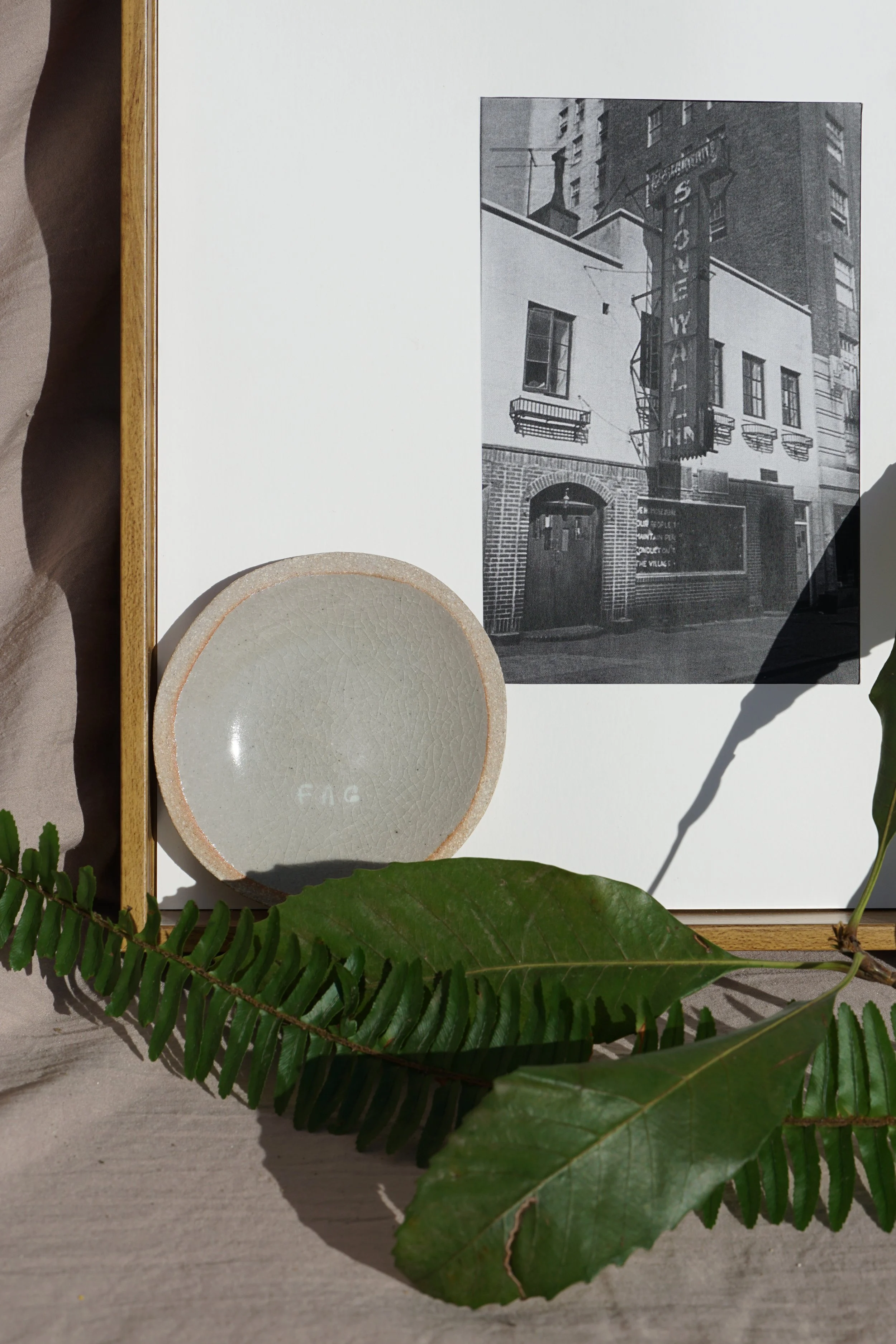 Fag White on White.JPG