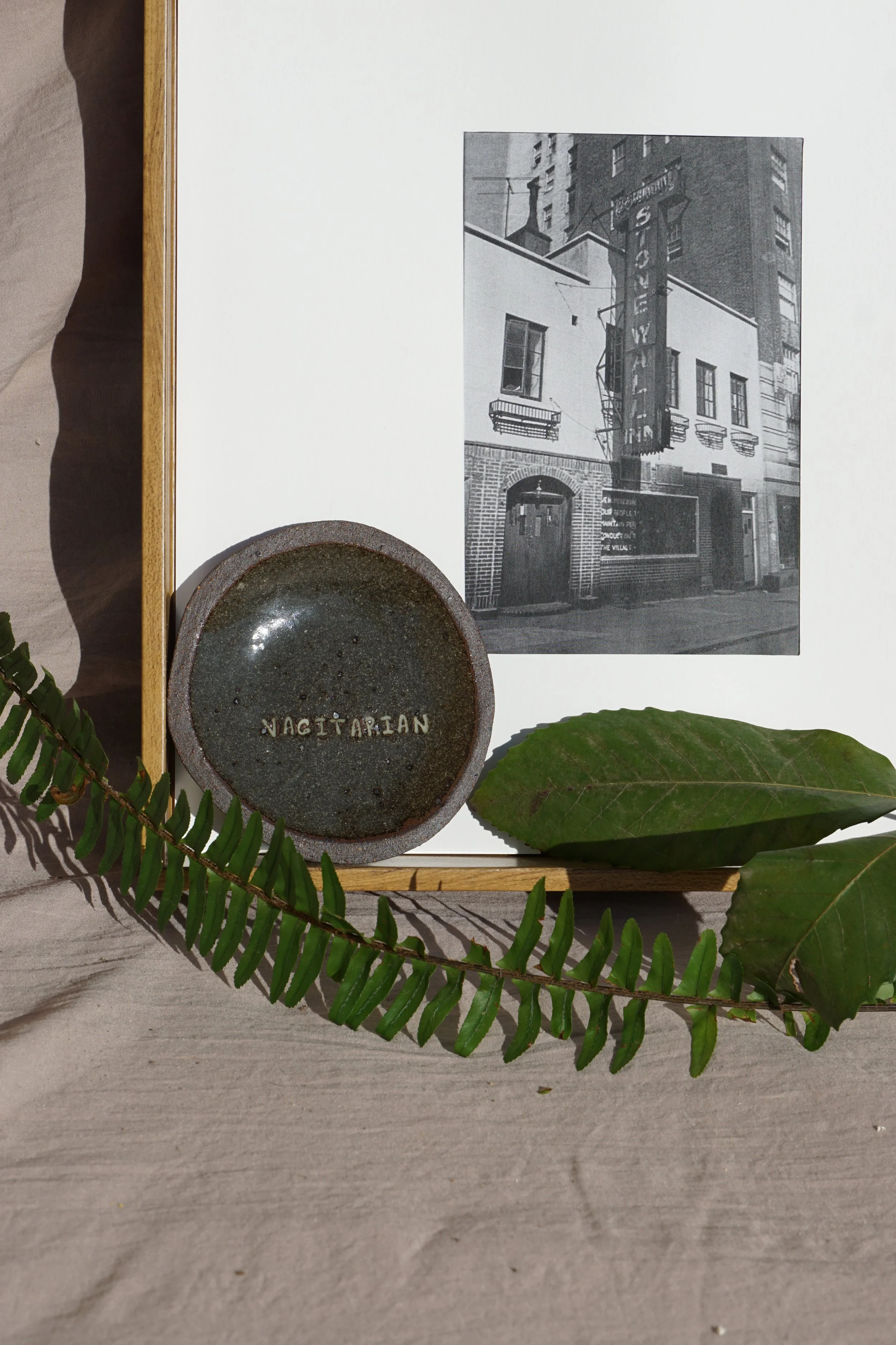 Gay Pride Dish - Vagitarian