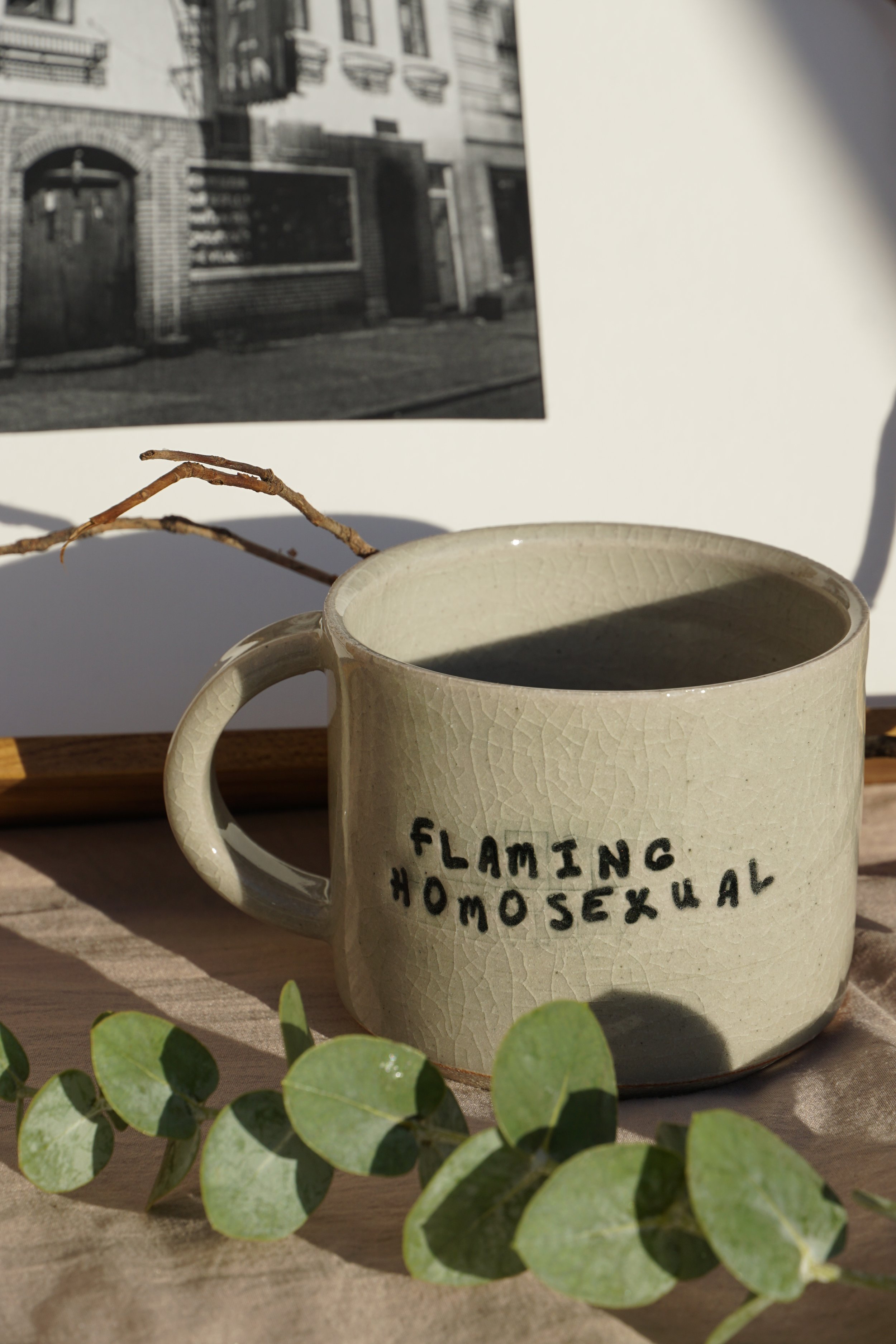 Gay-Pride-Mug - Flaming Homosexual