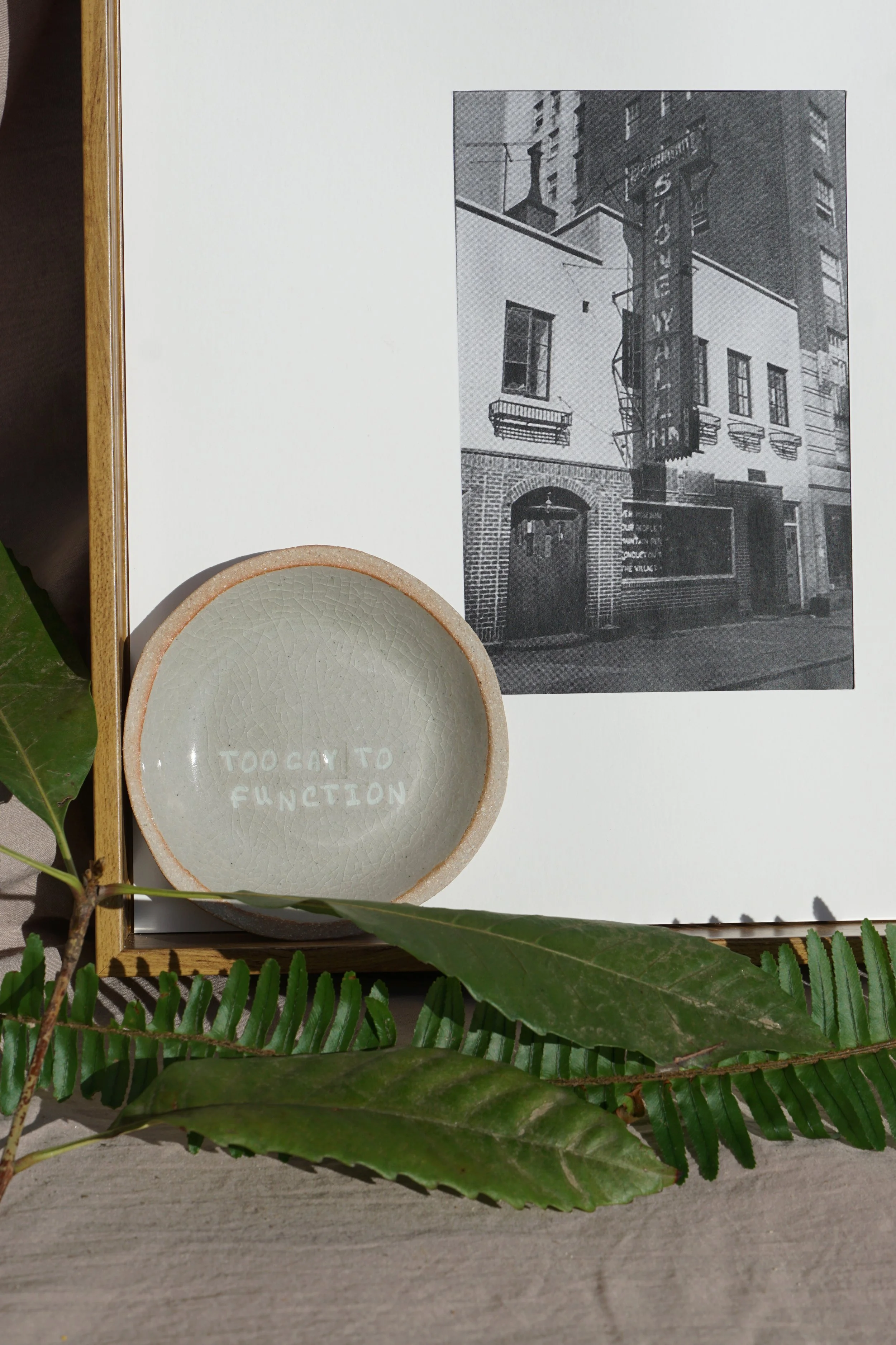 Gay Pride Dish - Too Gay to Function