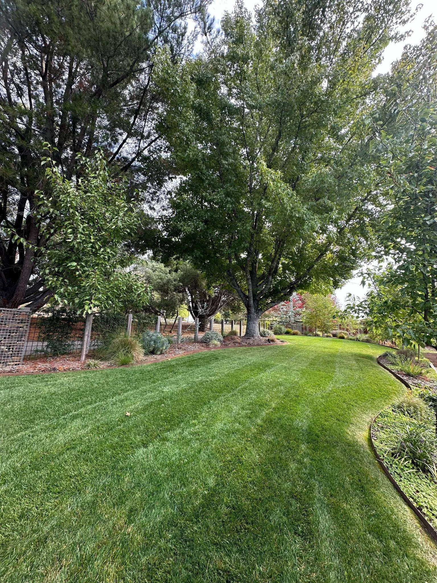 A lush green backyard with a well-maintained lawn, bordered by mature trees and garden beds.