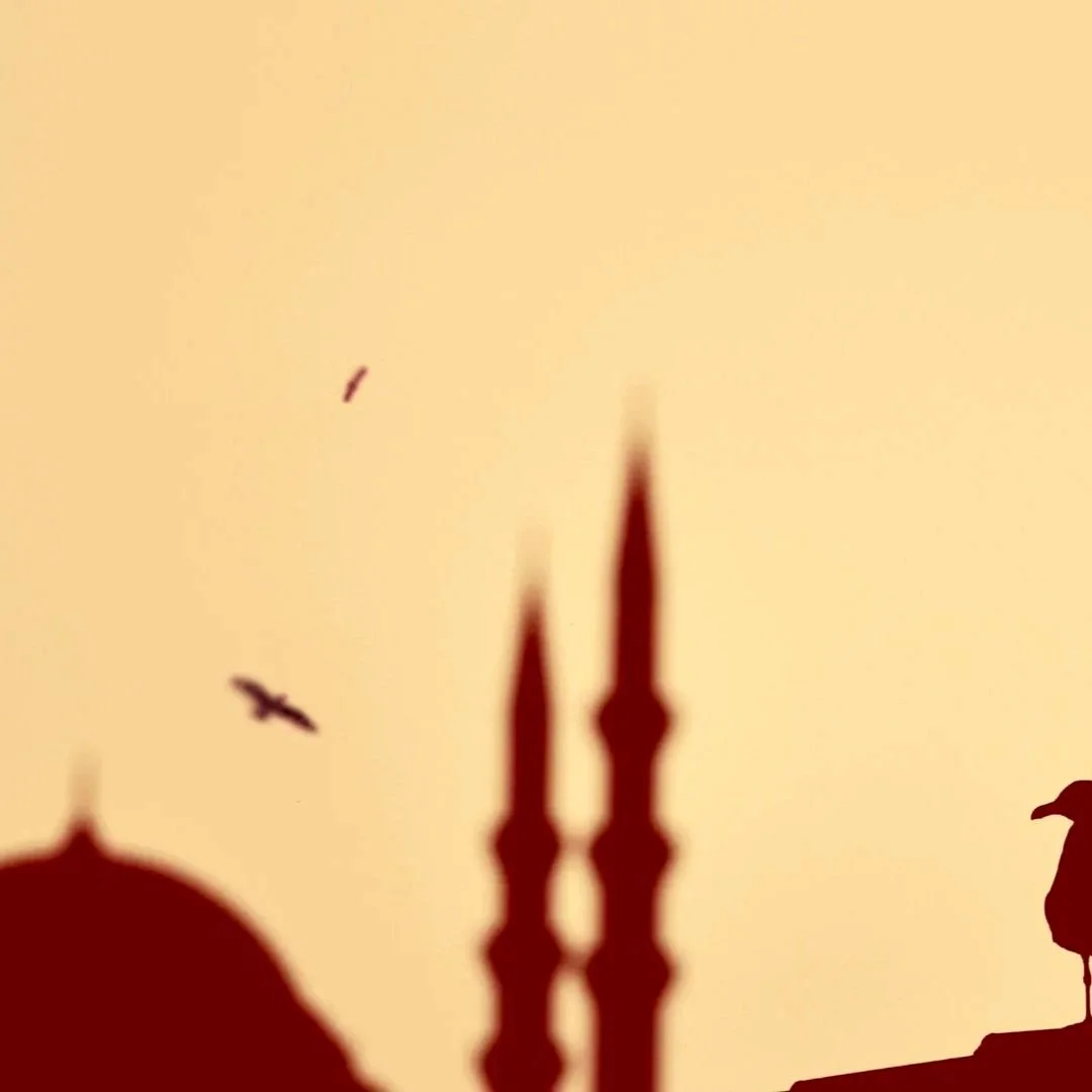 What the Christchurch Inquiry Teaches Us About Stronger Communities