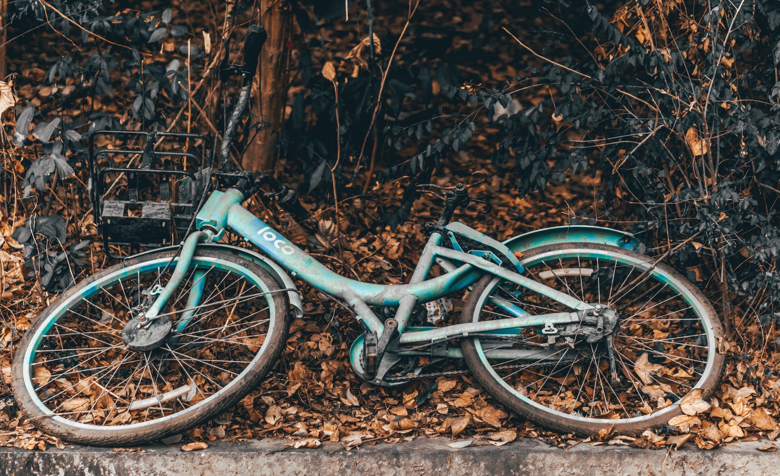 Now What? — a series of unfortunate attempts