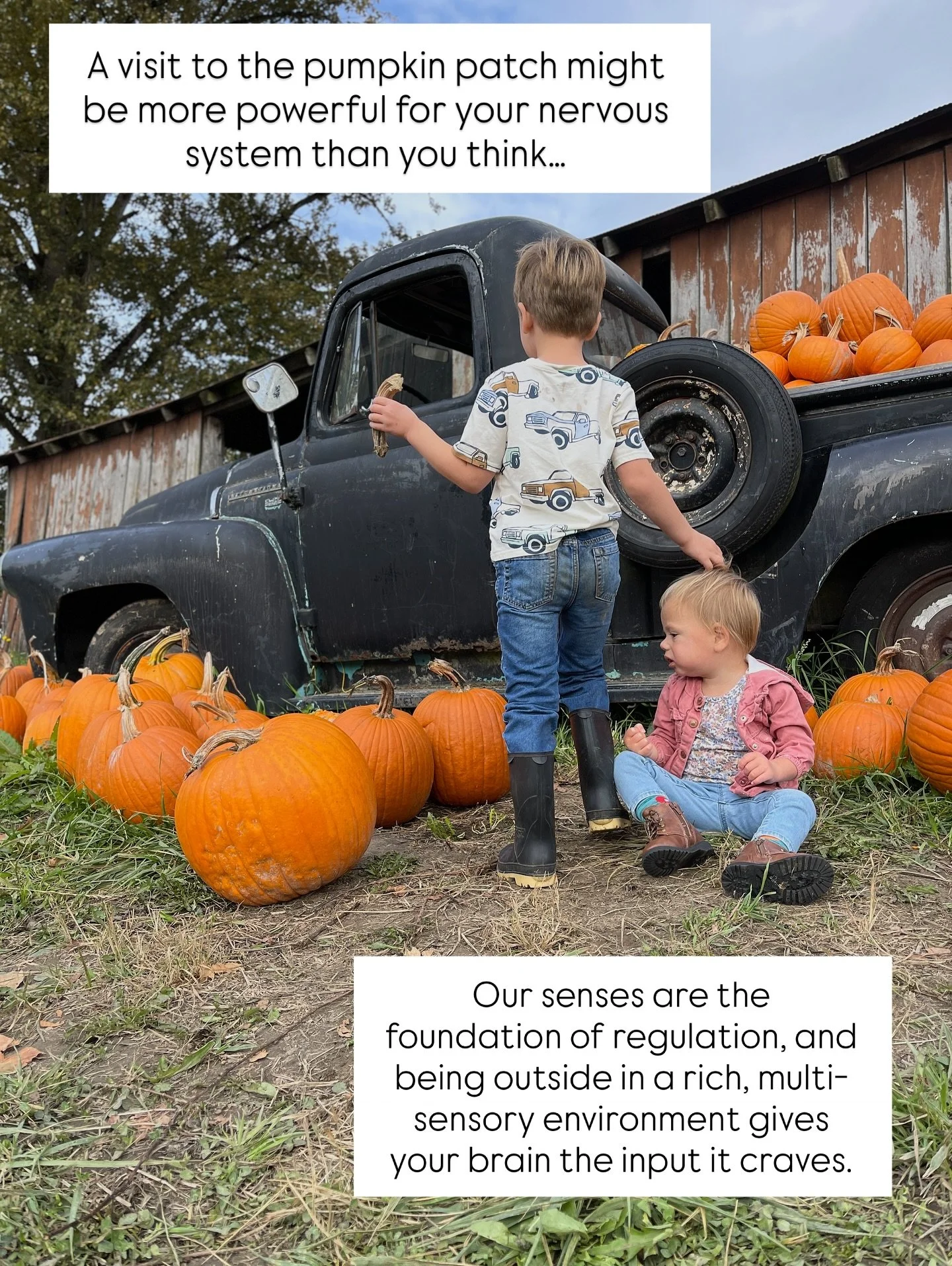The pumpkin patch always hits me with the best kind of nostalgia, the smell of farm animals, kettle corn, and crisp fall air. 🍂 The sun just hits differently this time of year, wrapping everything in that golden glow.

Gathering pumpkins with my kid