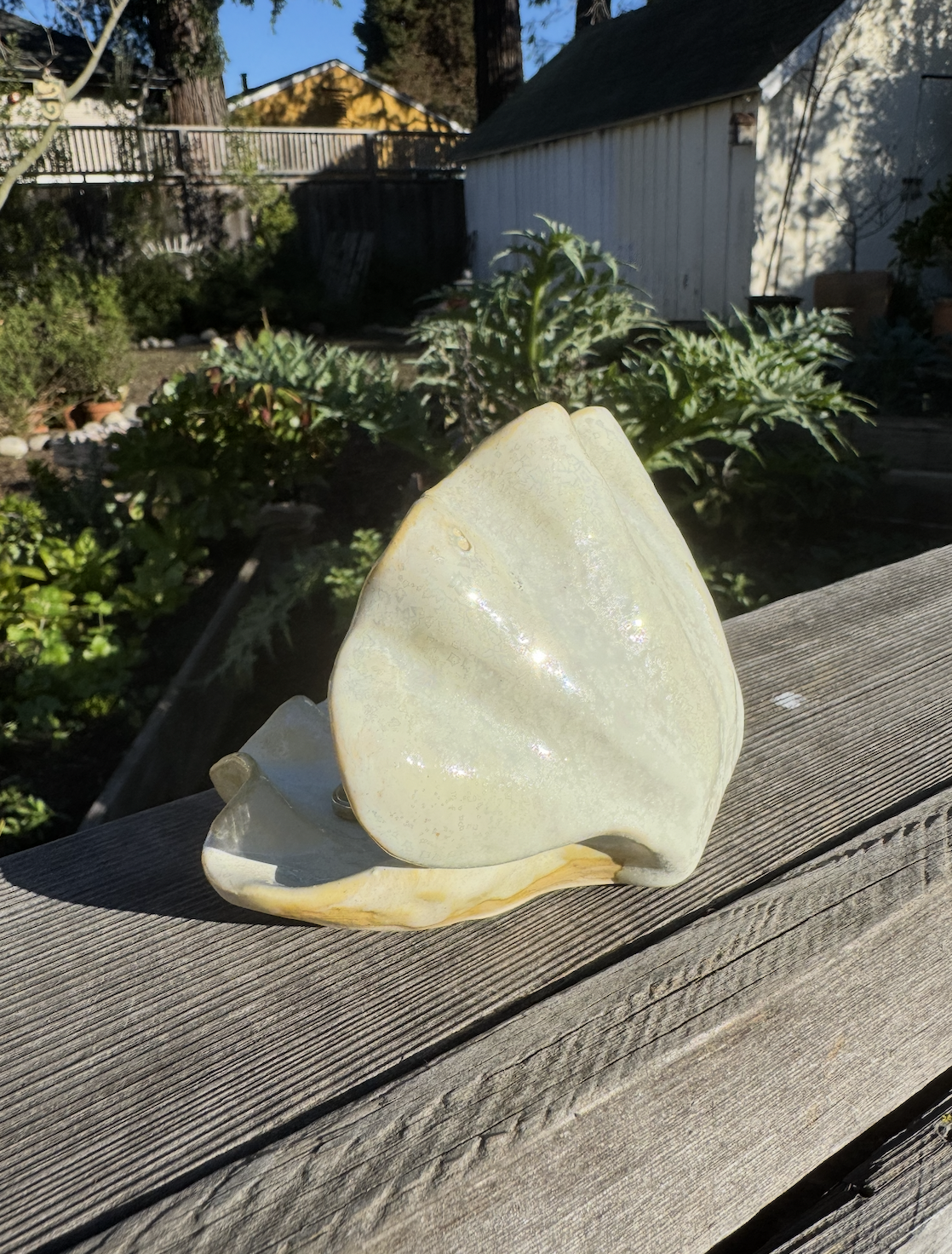 Screenshot 2026-01-13 at 10.38.25 AM.png