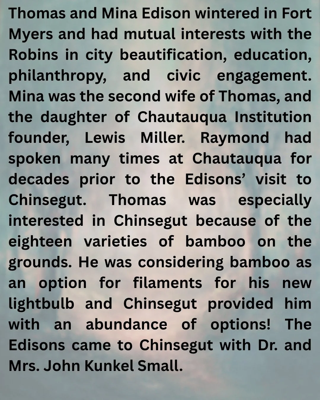 Thomas and Mina Edison