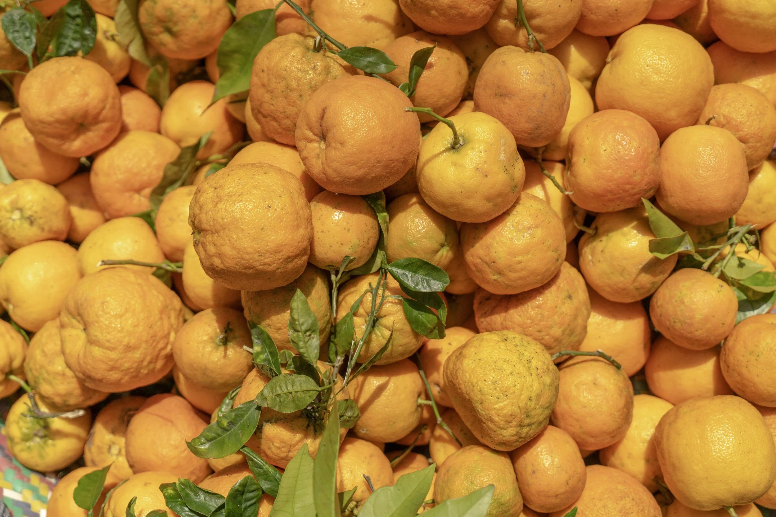 Support Your Digestion With Bitters